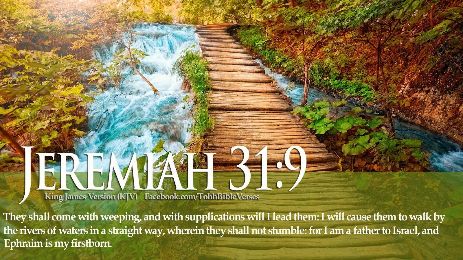 1600x900 Free download HD Christmas Bible Verse Greetings Card Wallpaper Christian [1600x1000] for your Desktop, Mobile & Tablet. Explore Christian Verses Wallpaper. Free Bible Verses Wallpaper, Bible Quotes Wallpaper Free