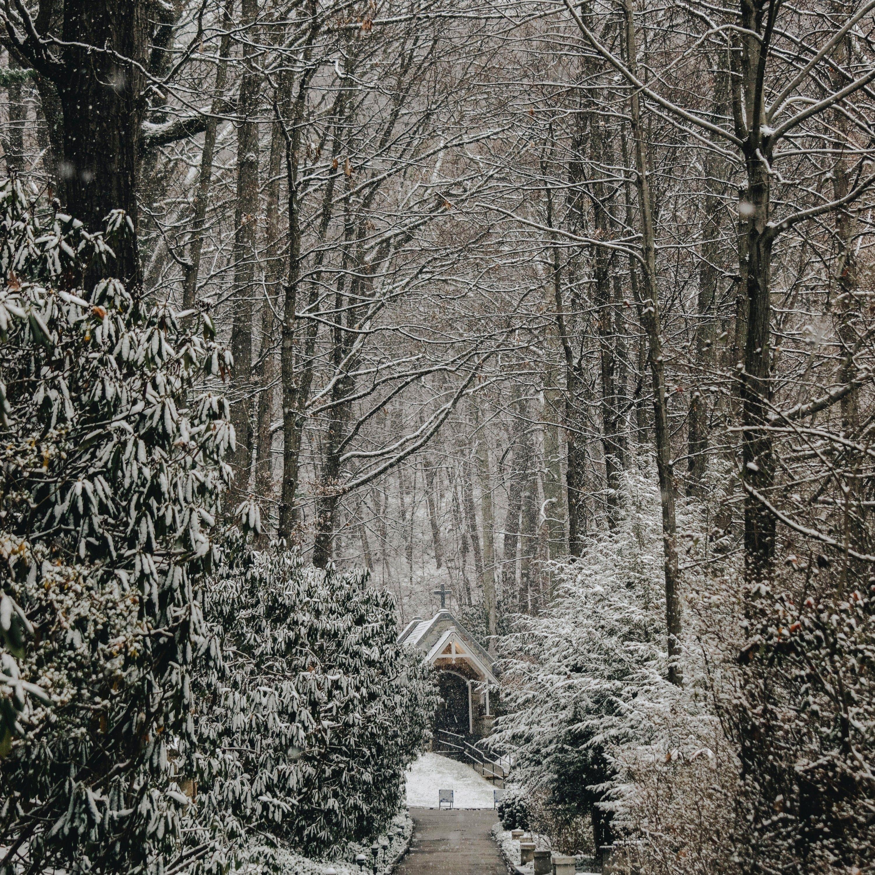 3000x3000 Download 3000x3000 Winter, Church, Snow, Path, Trees Wallpaper