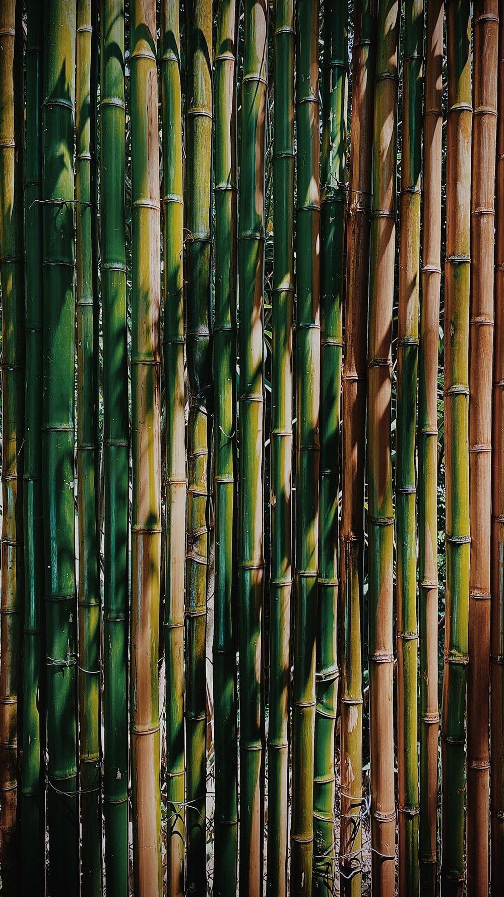 Black Bamboo Wallpapers - Top Free Black Bamboo Backgrounds