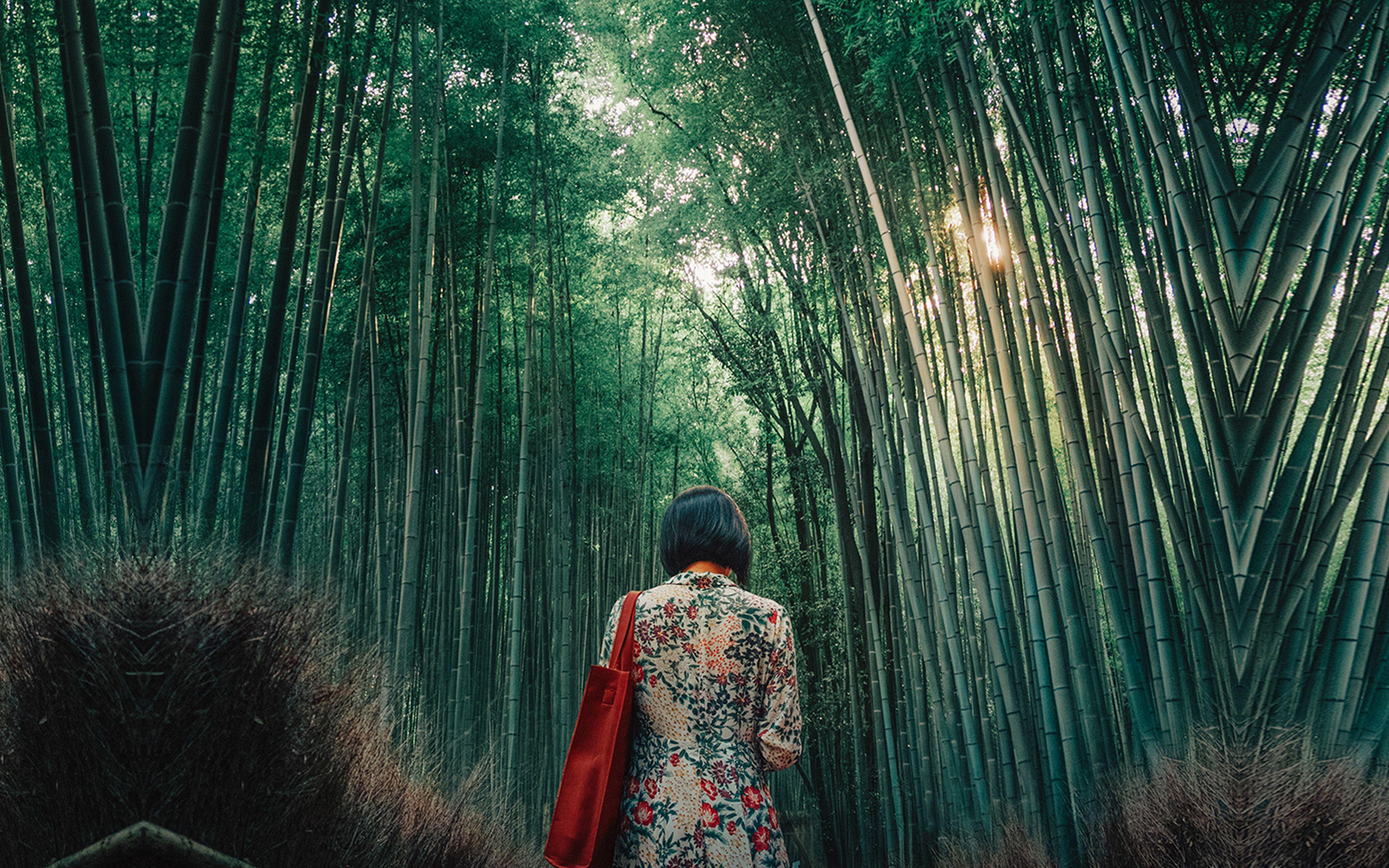 3840x2400 Forest Bamboo Wood Girl Art Wallpaper