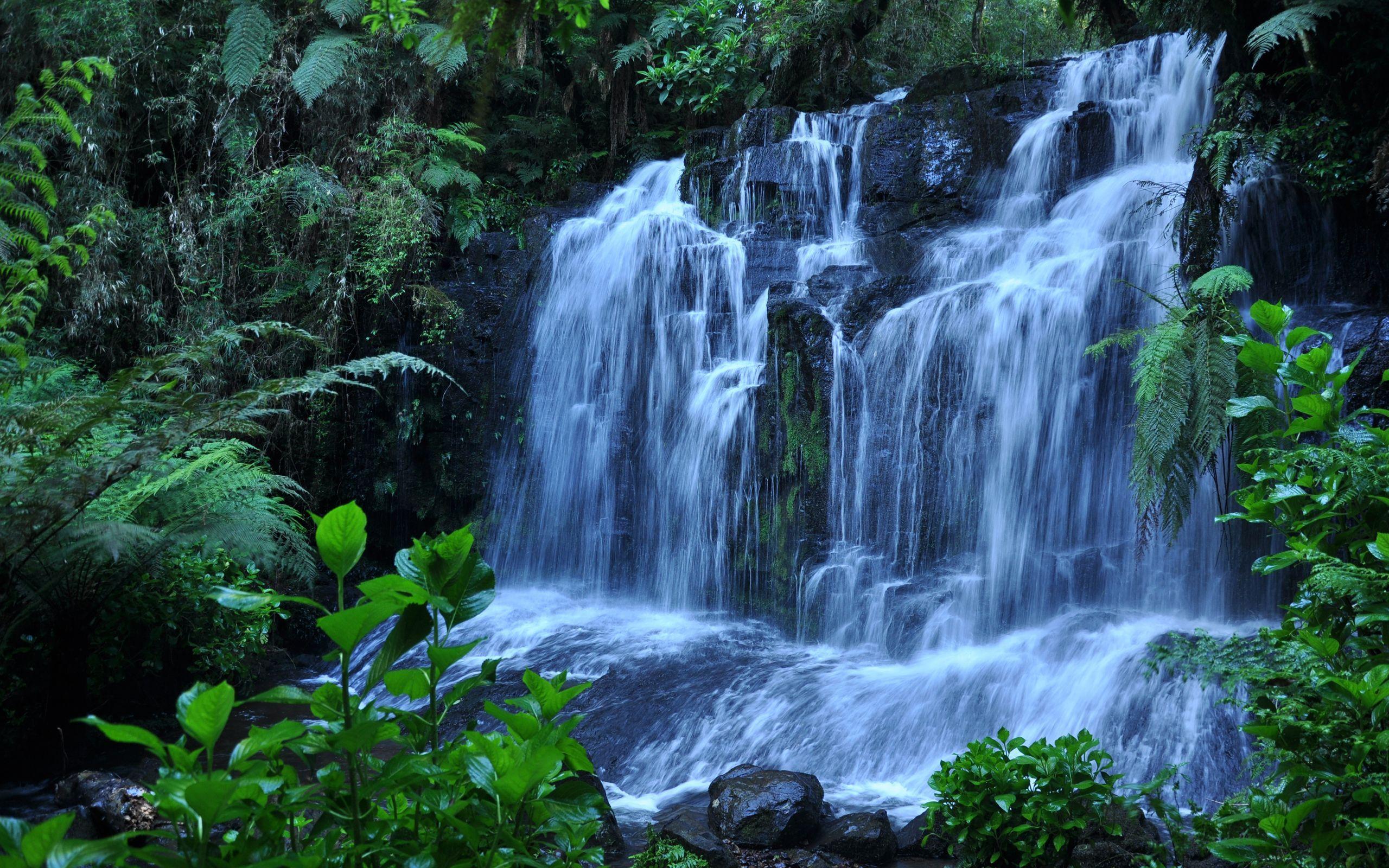 2560x1600 Most Beautiful Scenery of Nature HD .