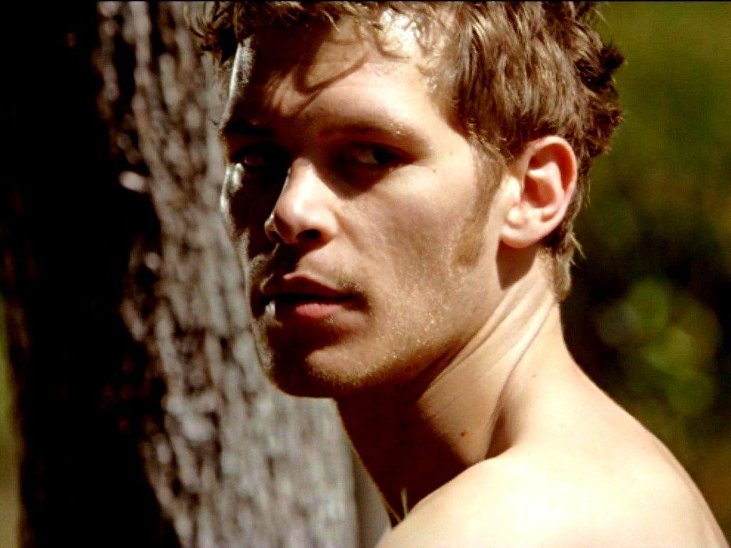 Klaus Mikaelson Hybrid Wallpapers Top Free Klaus Mikaelson Hybrid