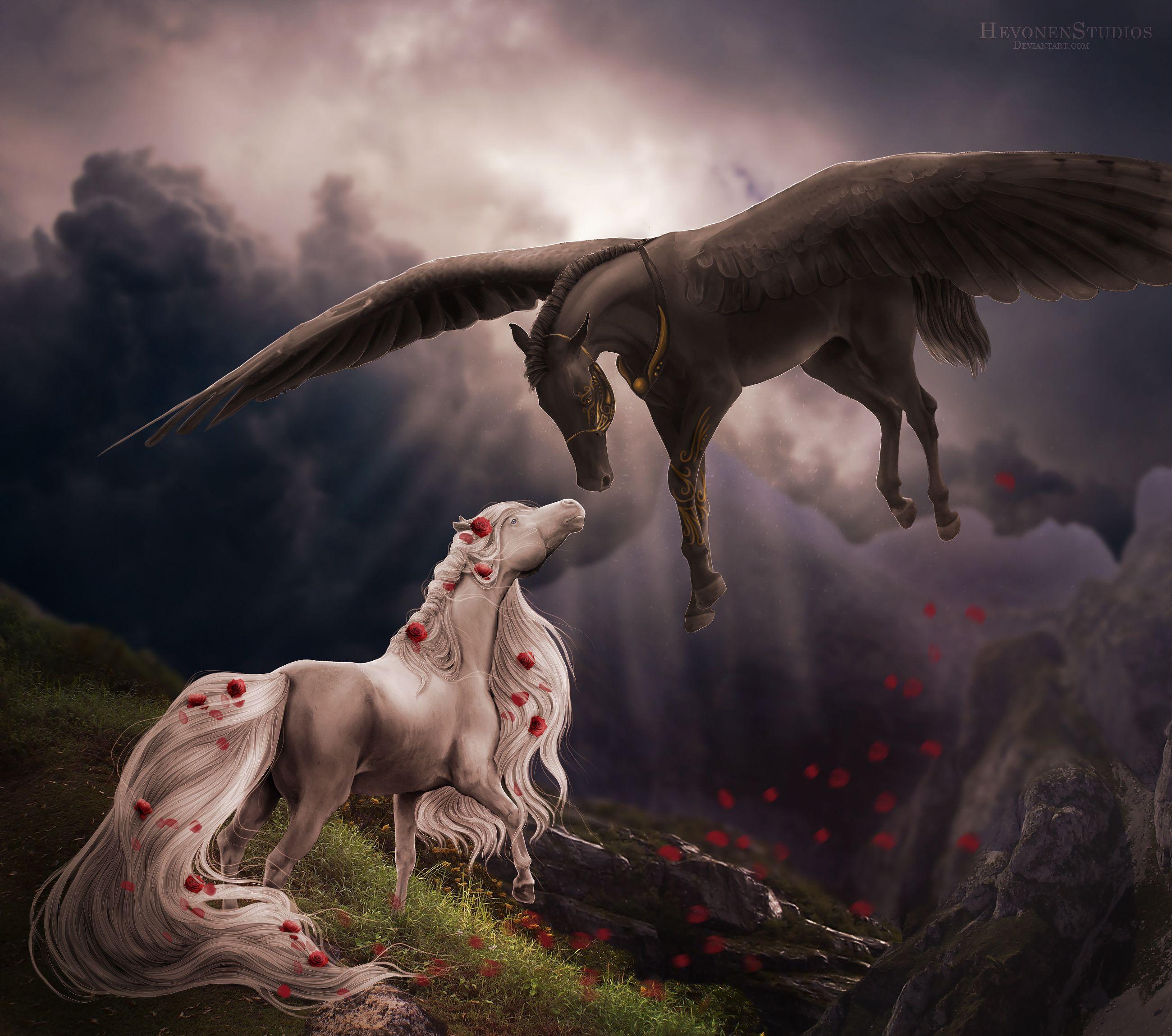 2600x2300 Horses Love, HD Animals, 4k Wallpaper, Image, Background, Photo and Picture