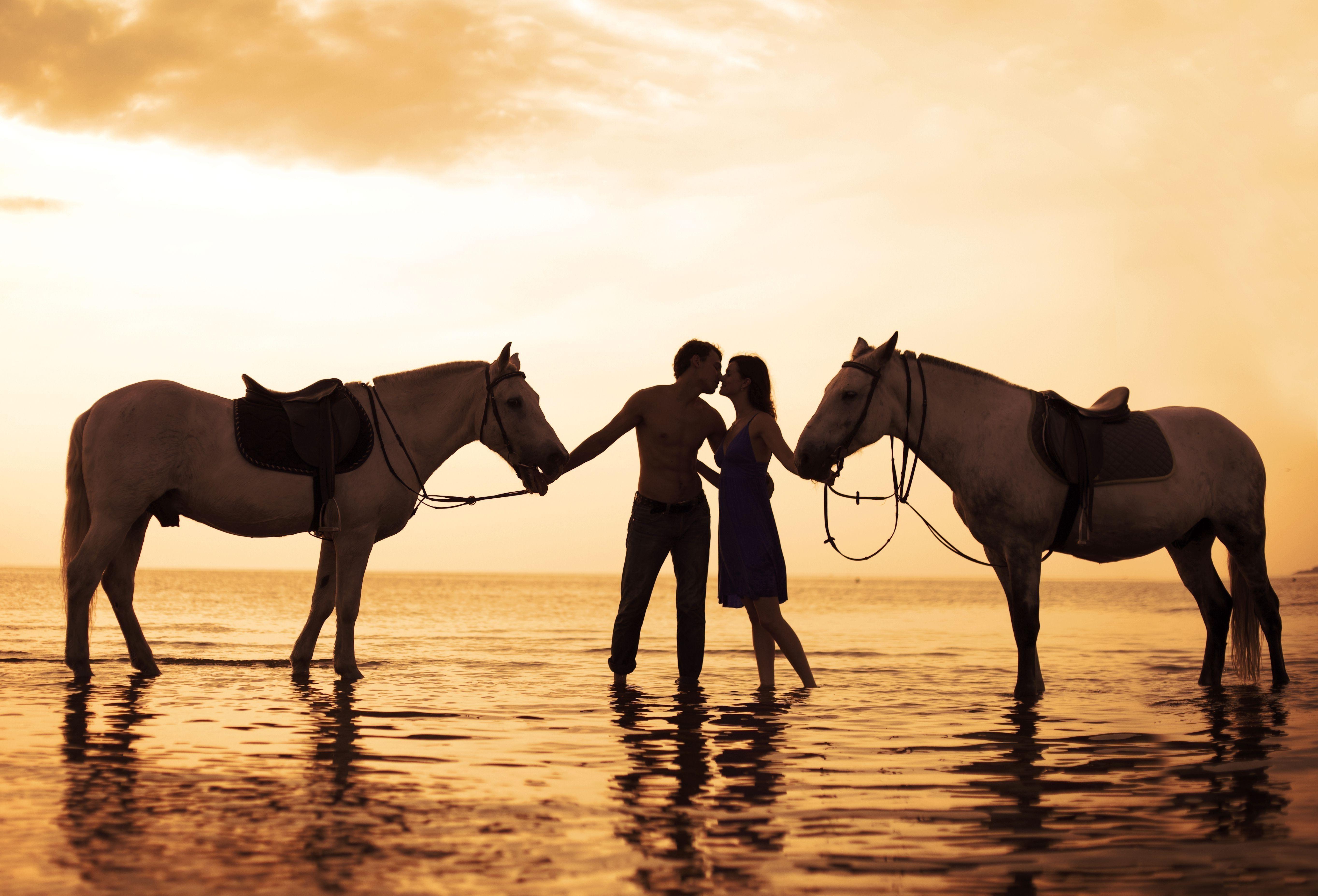 5456x3709 couple horse water sunset kissing love sea Wallpaper HD / Desktop and Mobile Background