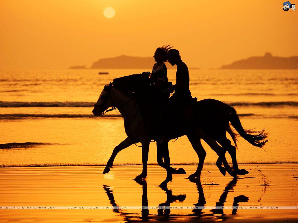 Horse Love Wallpapers - Top Free Horse Love Backgrounds - WallpaperAccess