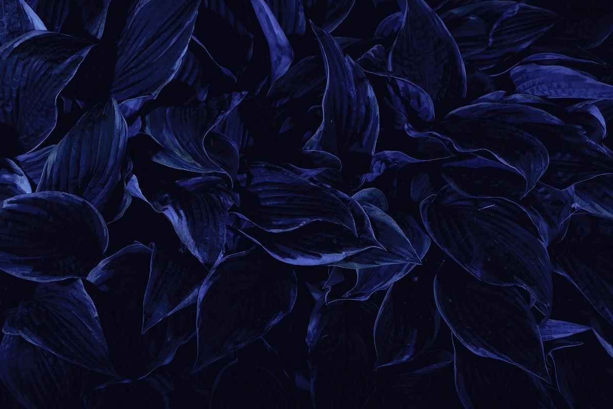 1200x800 Dark Blue Aesthetic Desktop Wallpaper