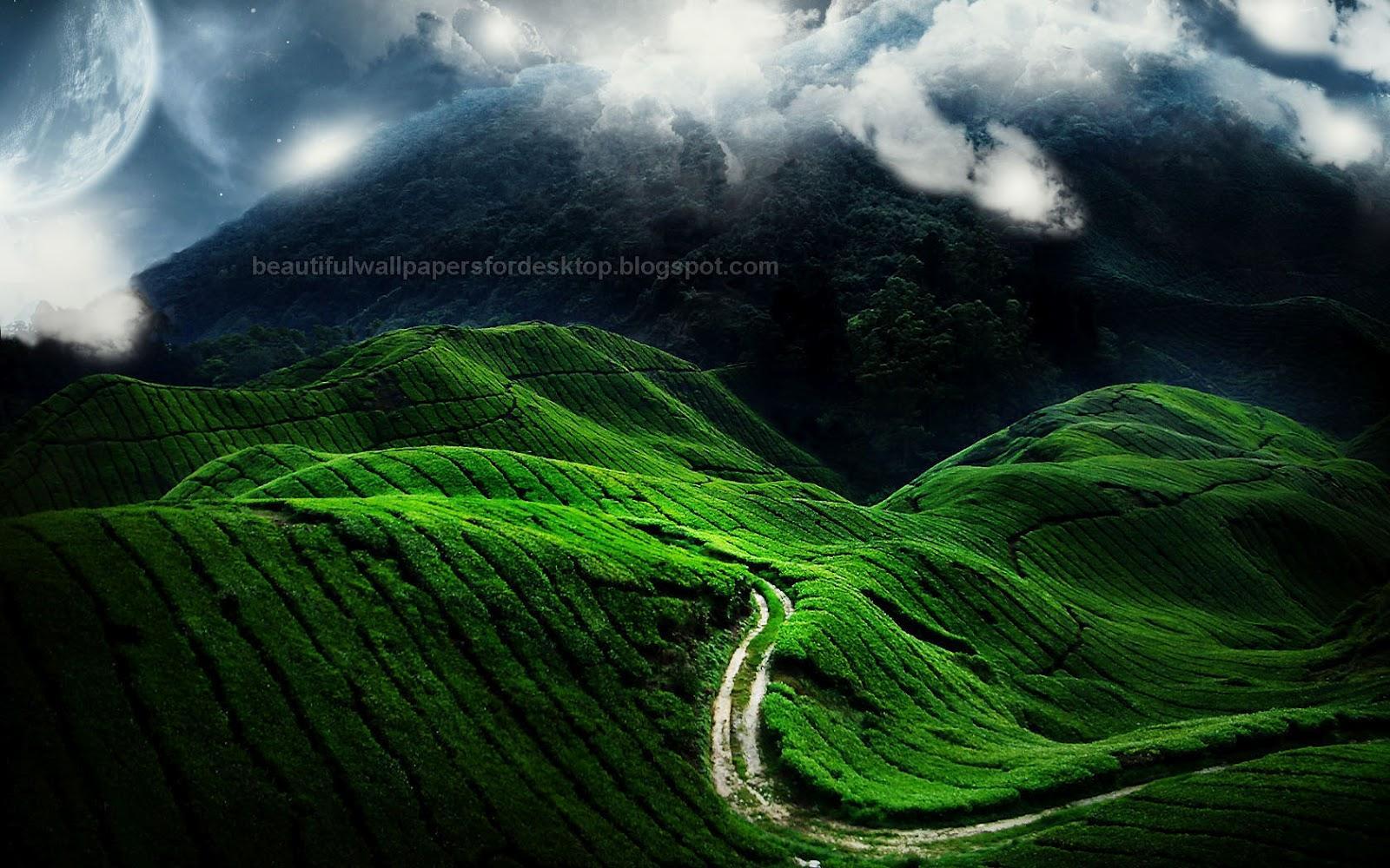 1600x1000 Pure Wallpaper