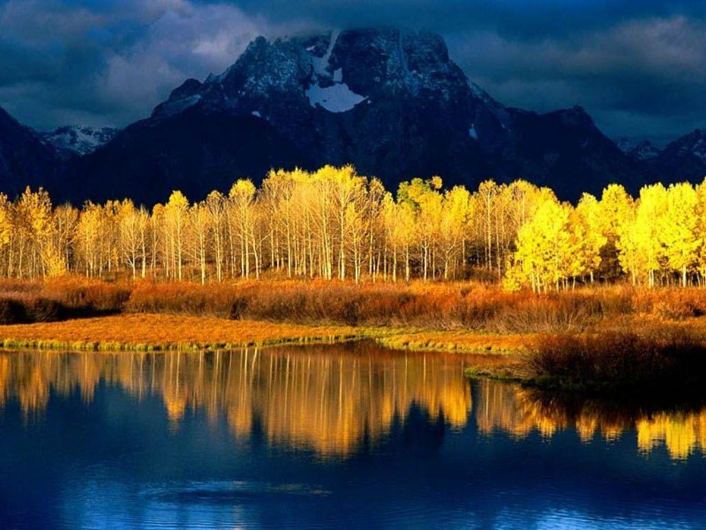 1024x768 Nature Wallpaper