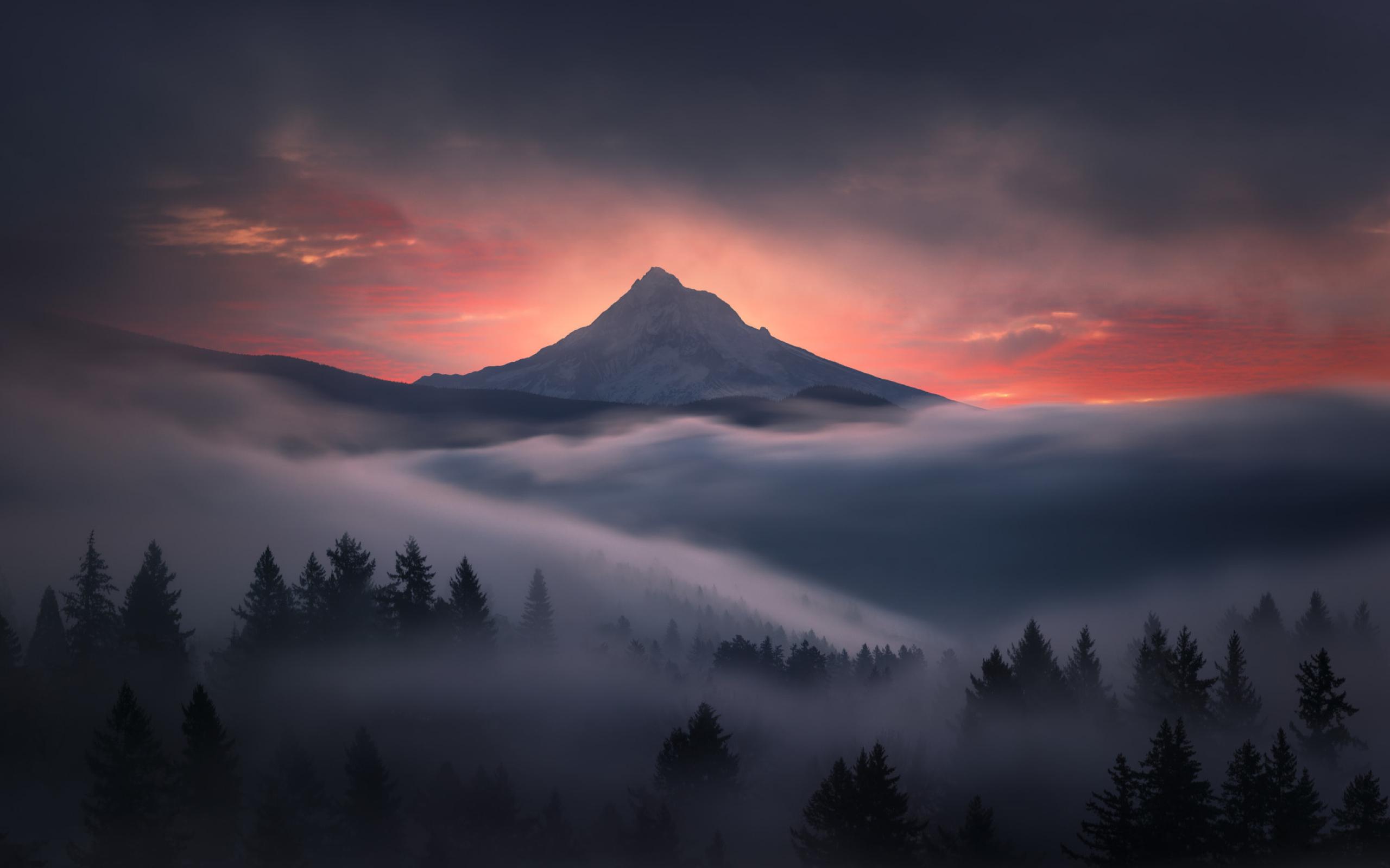 2560x1600 The Snowy Mountain in Forest 2560x1600 Resolution Wallpaper, HD Nature 4K Wallpaper, Image, Photo and Background