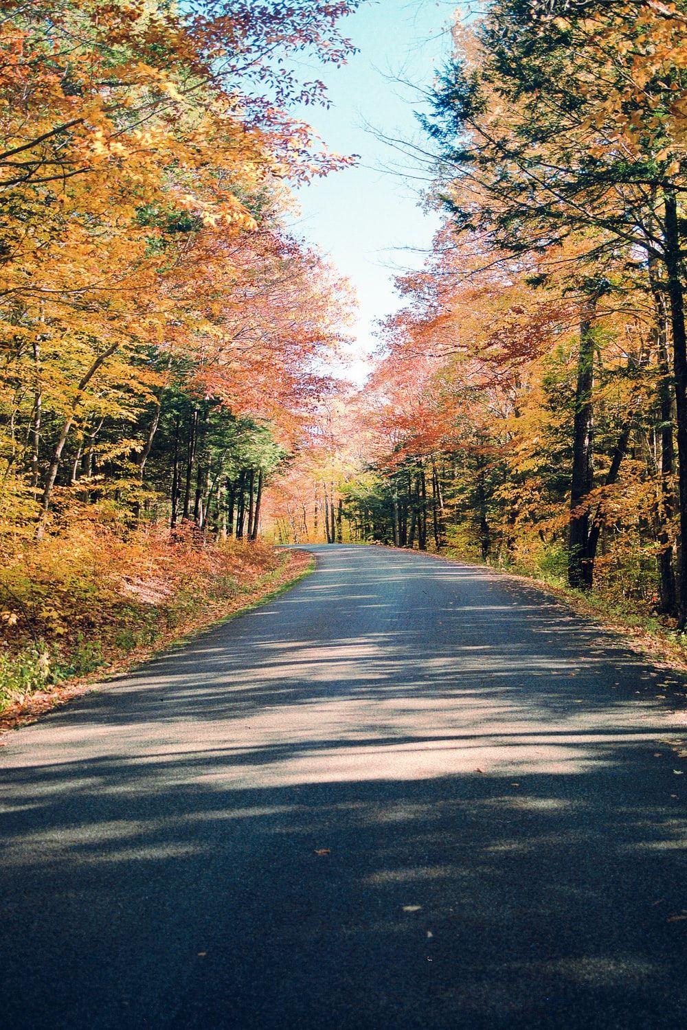 1000x1500 Scenic Picture [HD]. Download Free Image