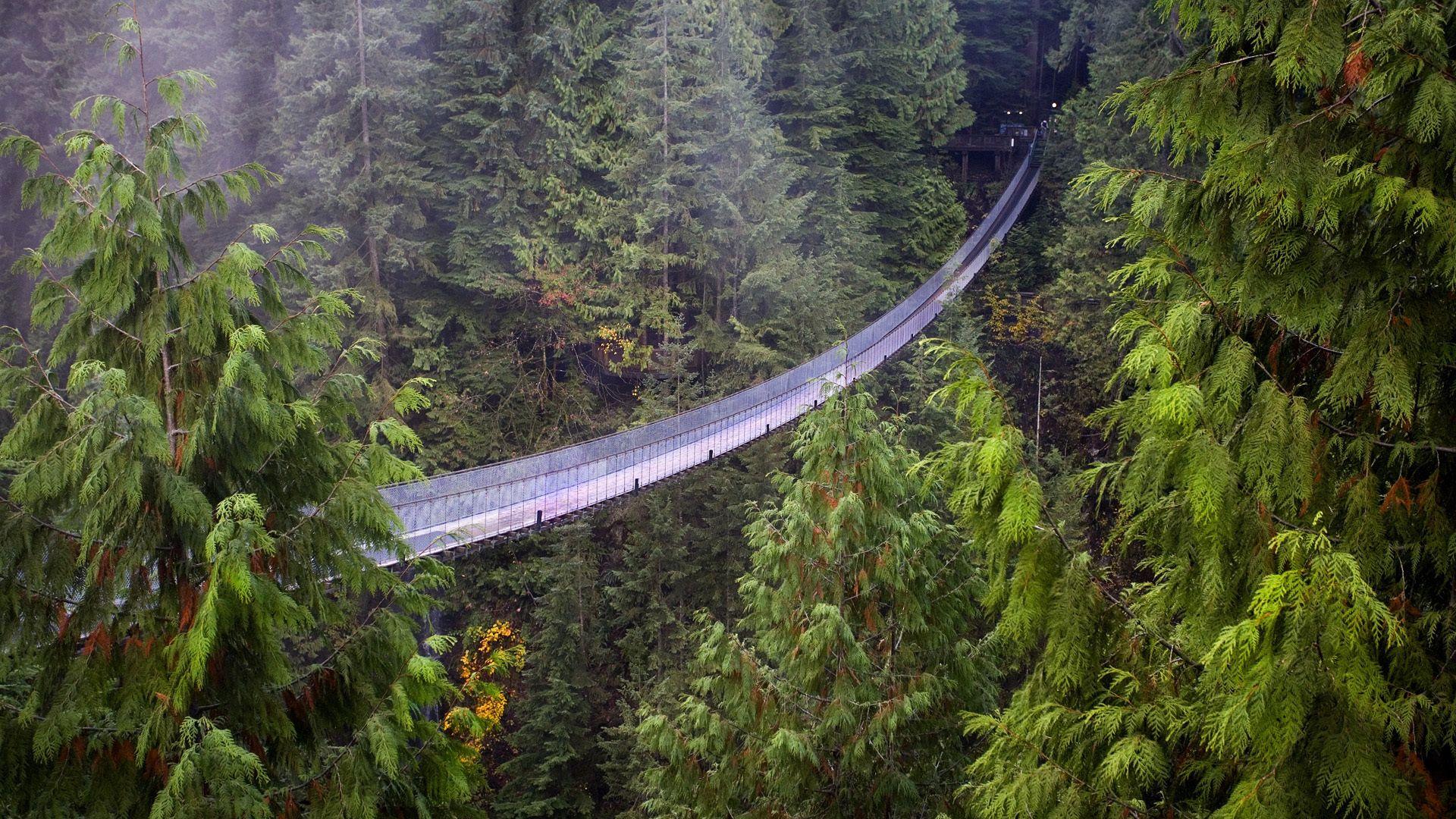 1920x1080 Wallpaper capilano suspension bridge, british columbia, canada, bridge, north vancouver, spruce desktop wallpaper Nature