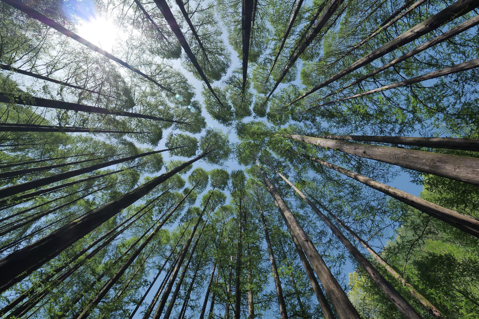 1920x1280 Natural climate[1920*1080]