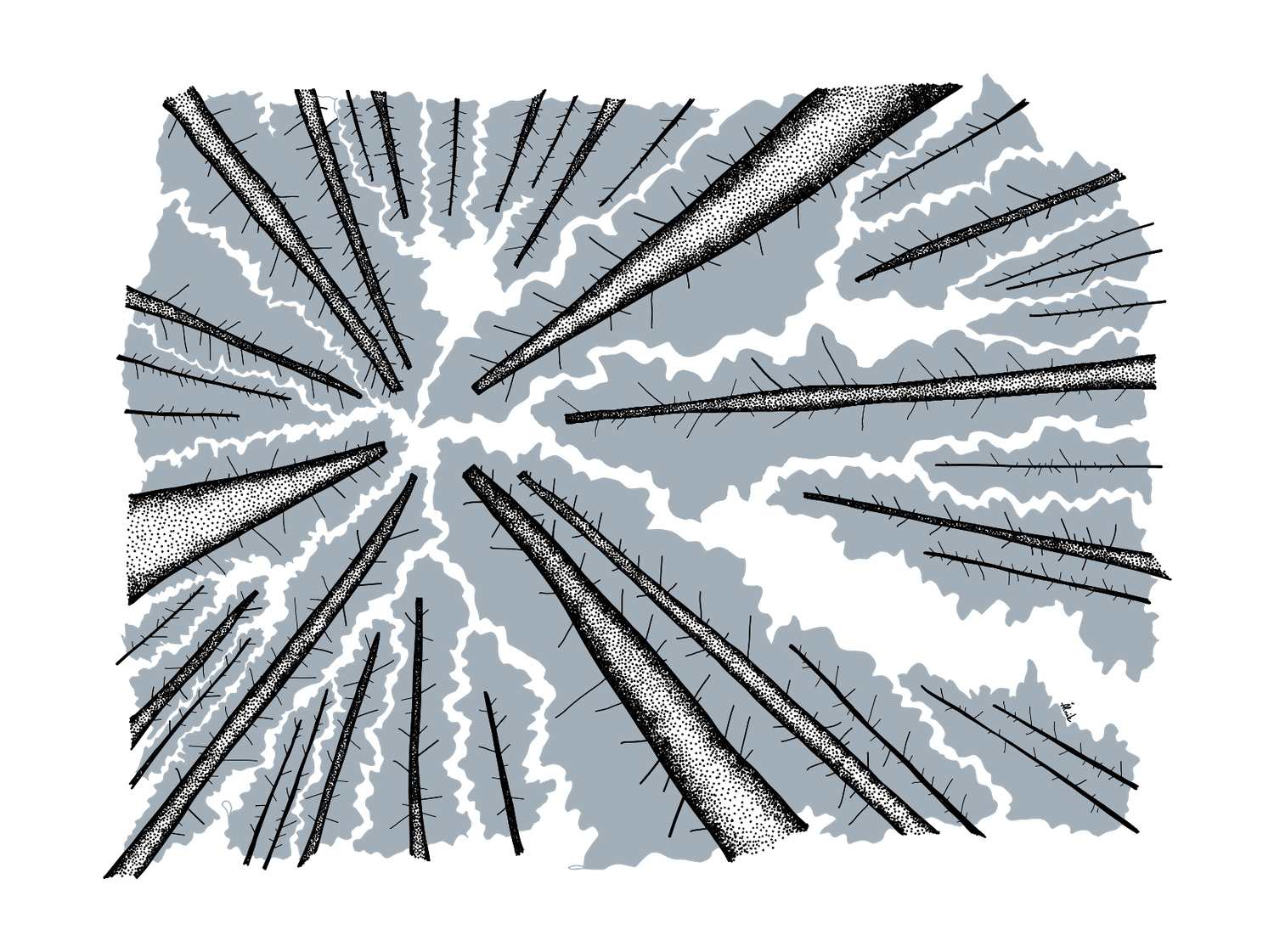 Crown Shyness Wallpapers - Top Free Crown Shyness Backgrounds