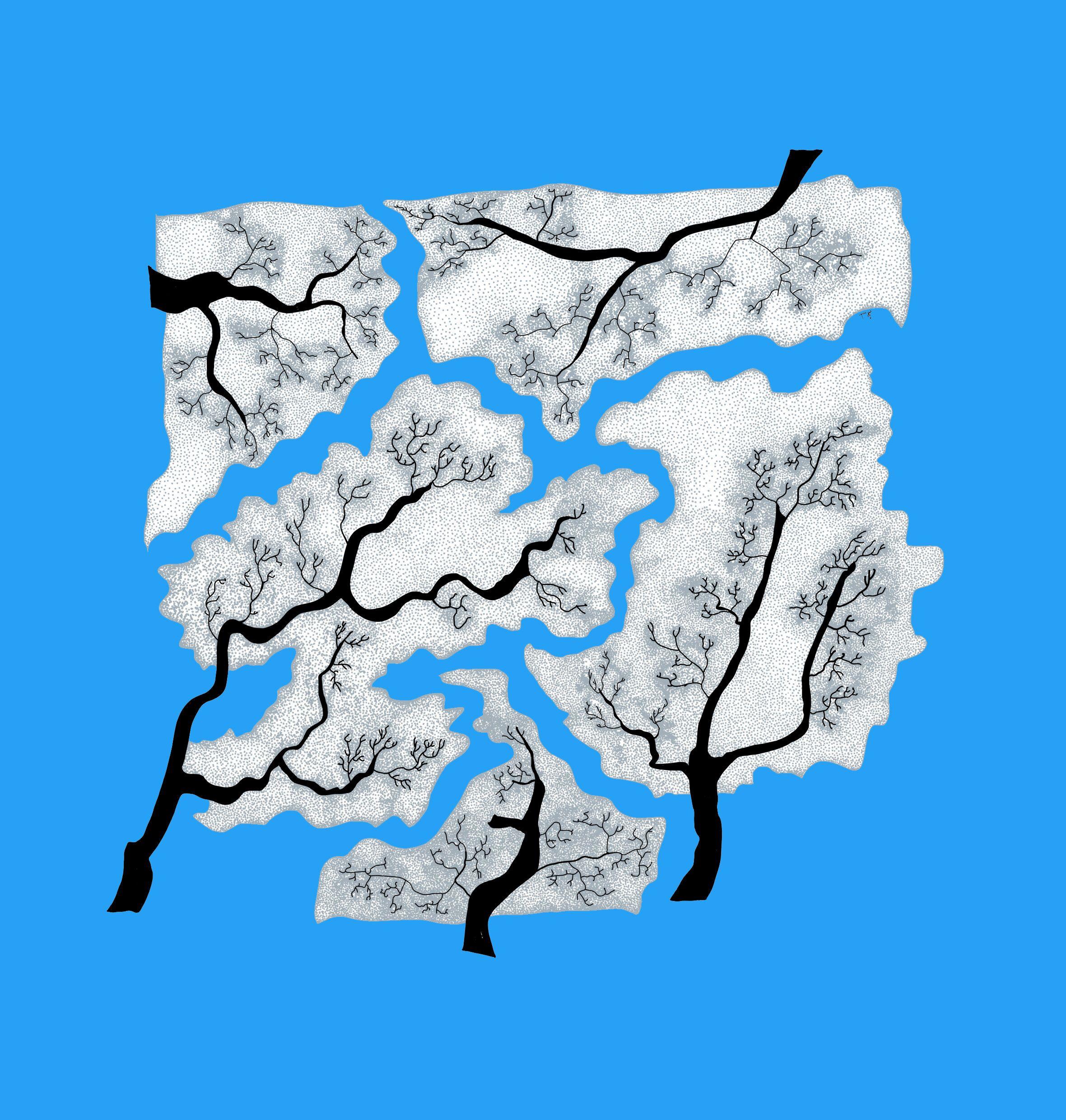 2361x2480 Crown Shyness