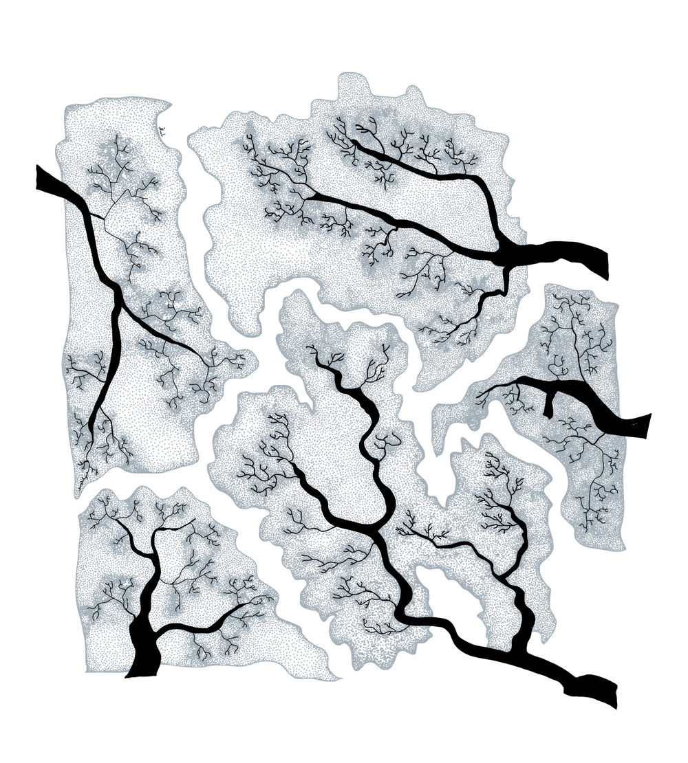 1000x1110 Crown Shyness