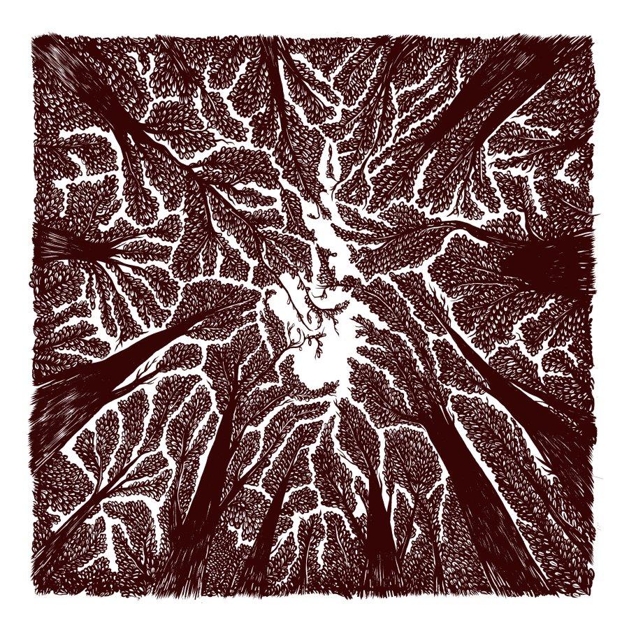 900x900 Trash Boat Announce New Album 'Crown Shyness', First Single Video Released