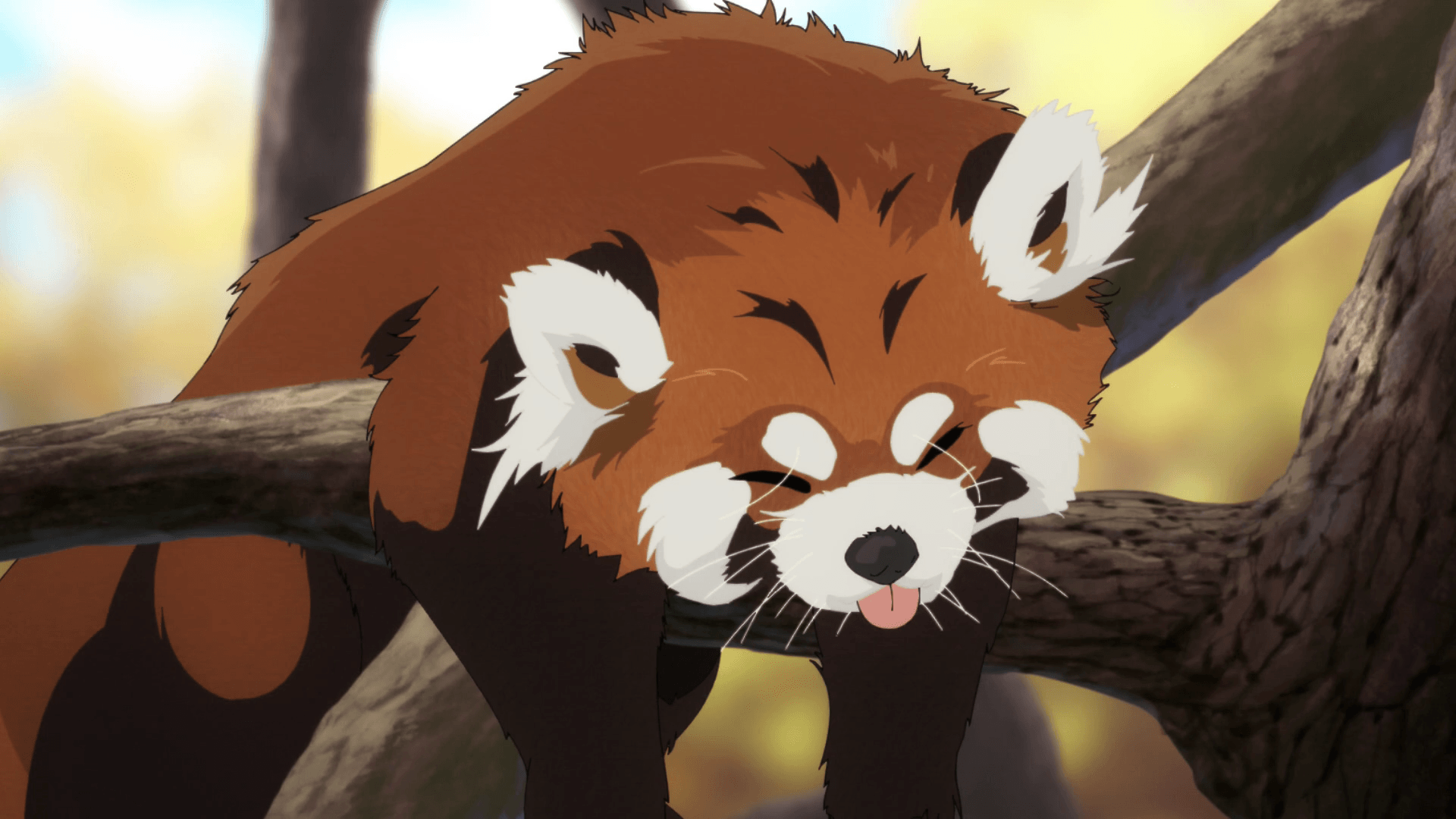 Red Panda Kawaii Wallpapers - Top Free Red Panda Kawaii Backgrounds