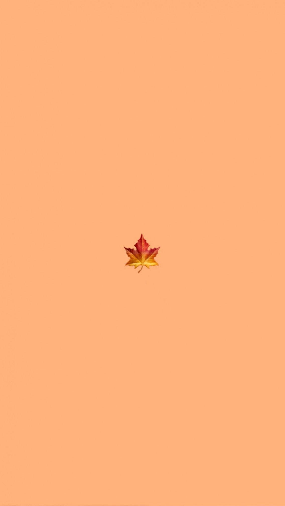 1136x2017 VSCO Girl Fall Wallpaper