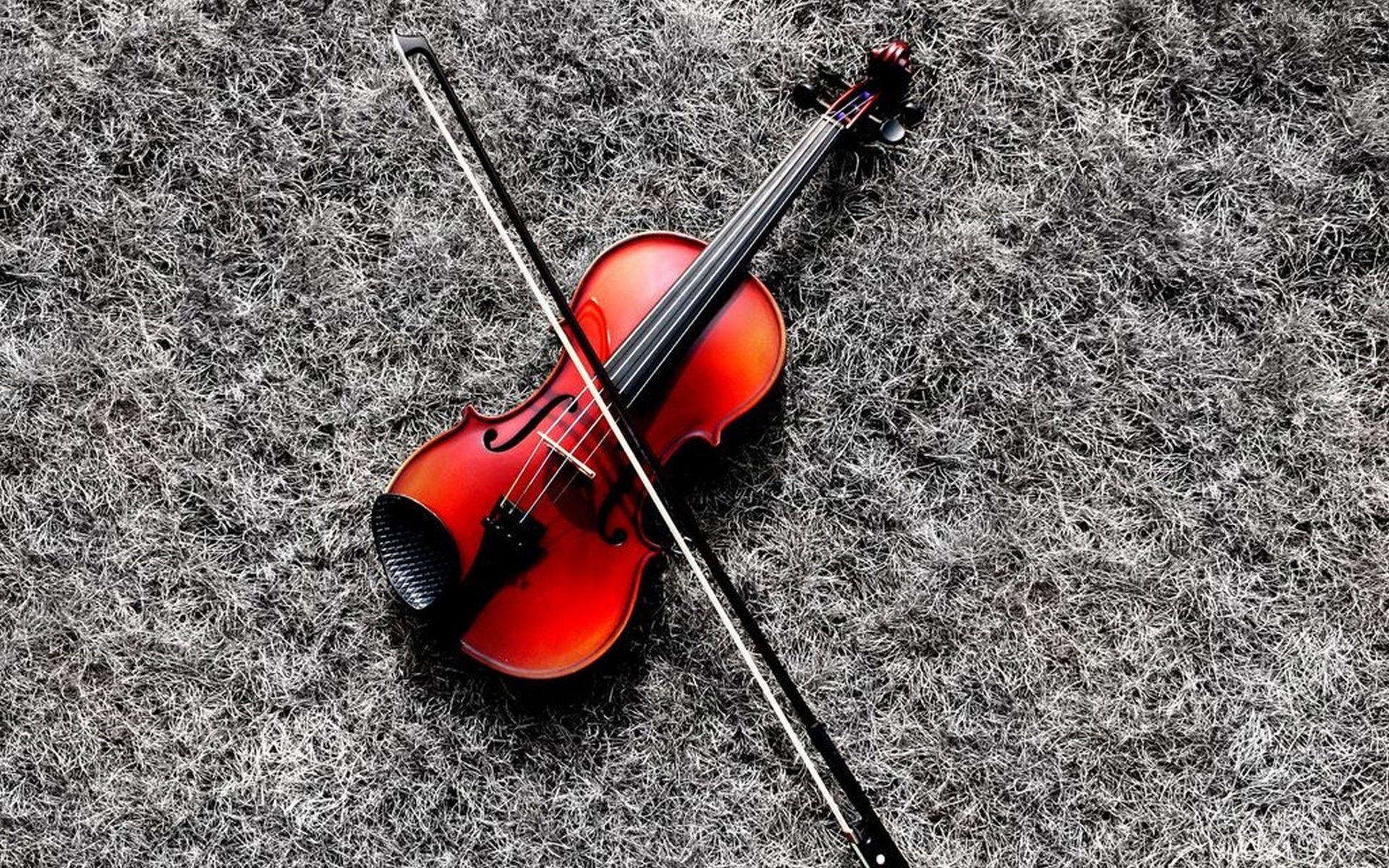 1920x1200 Violin Wallpaper Cute .