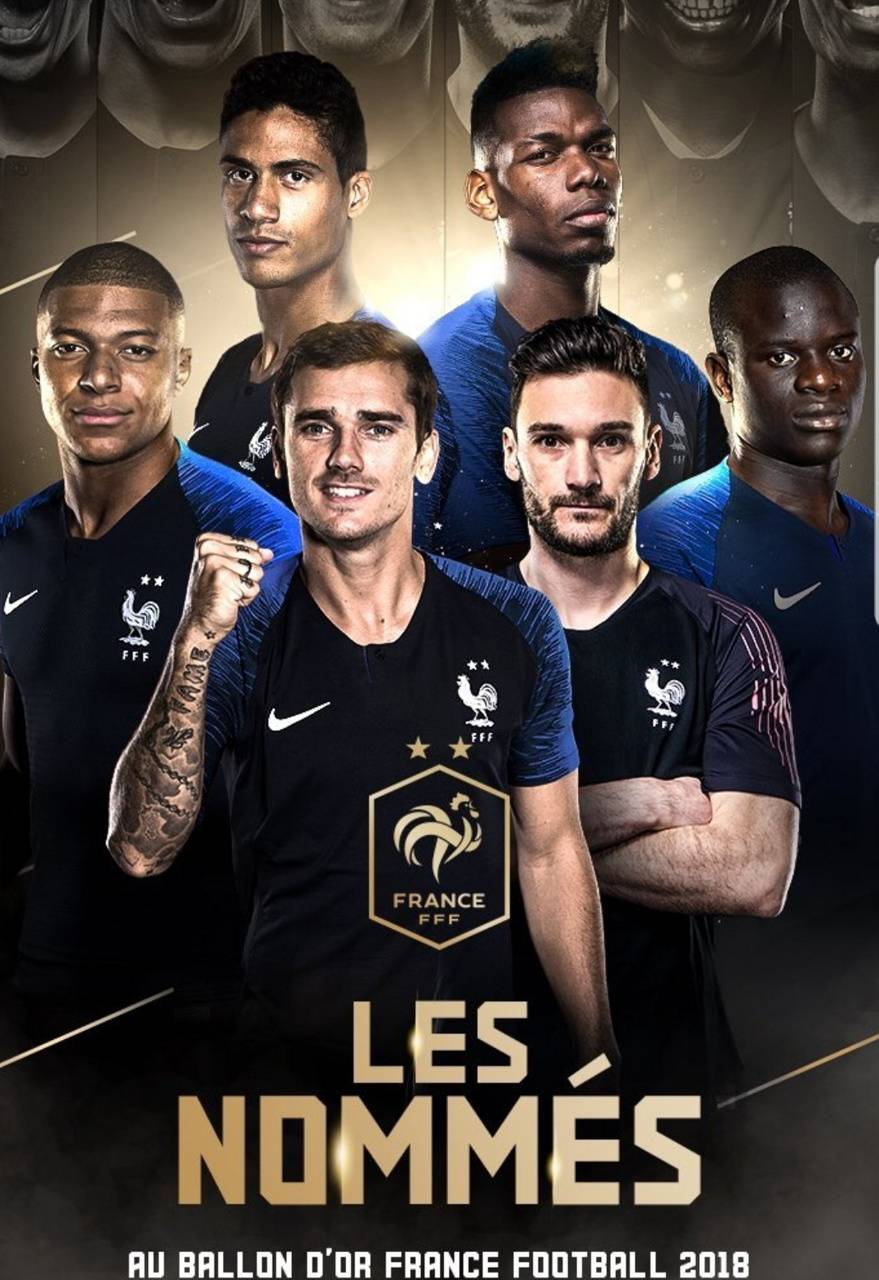 879x1280 FRANCE WORLD CUP wallpaper