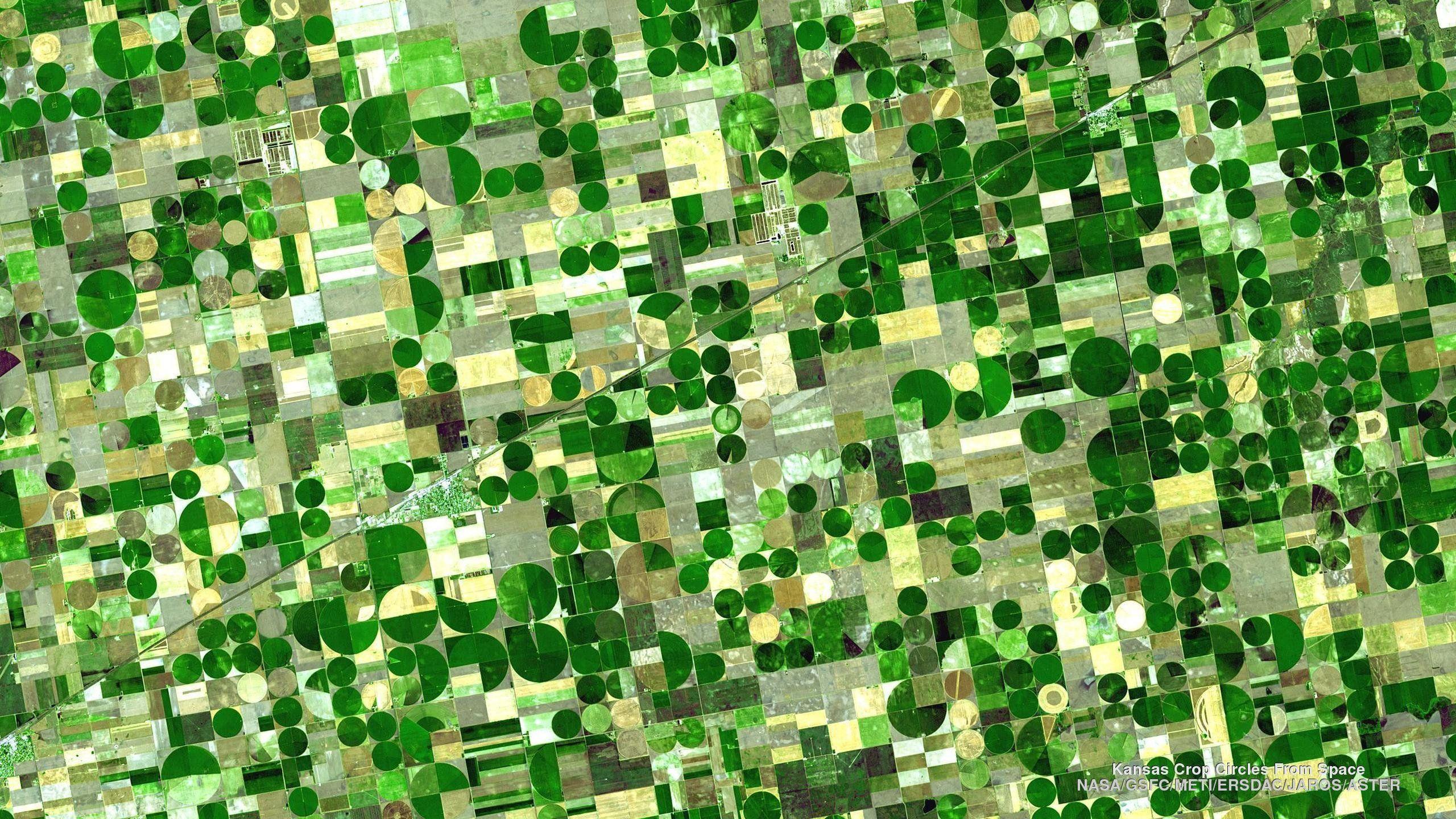 2560x1440 Kansas Crop Circles From Space wallpaperx1440