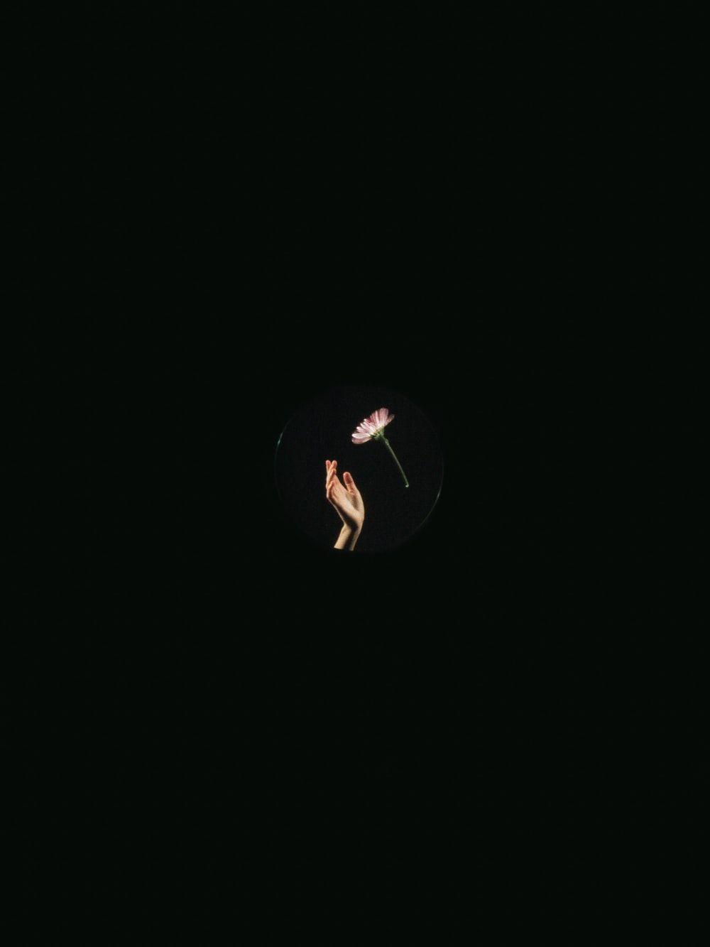 1000x1333 AMOLED Wallpaper [Free Download!]. best free wallpaper, black and white, black, and dark photo