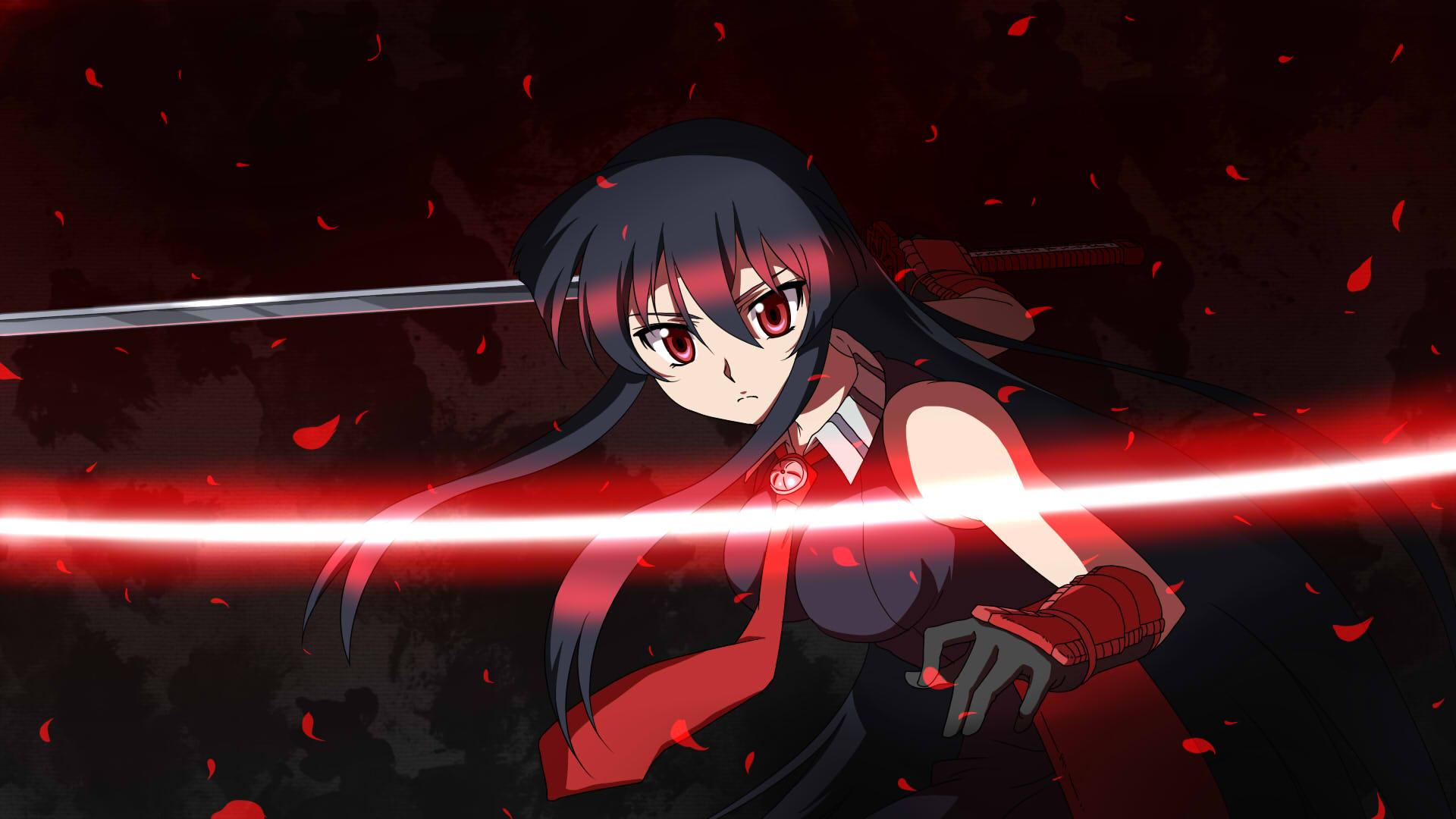 Featured image of post View 27 Akame Ga Kill Pfp 4K