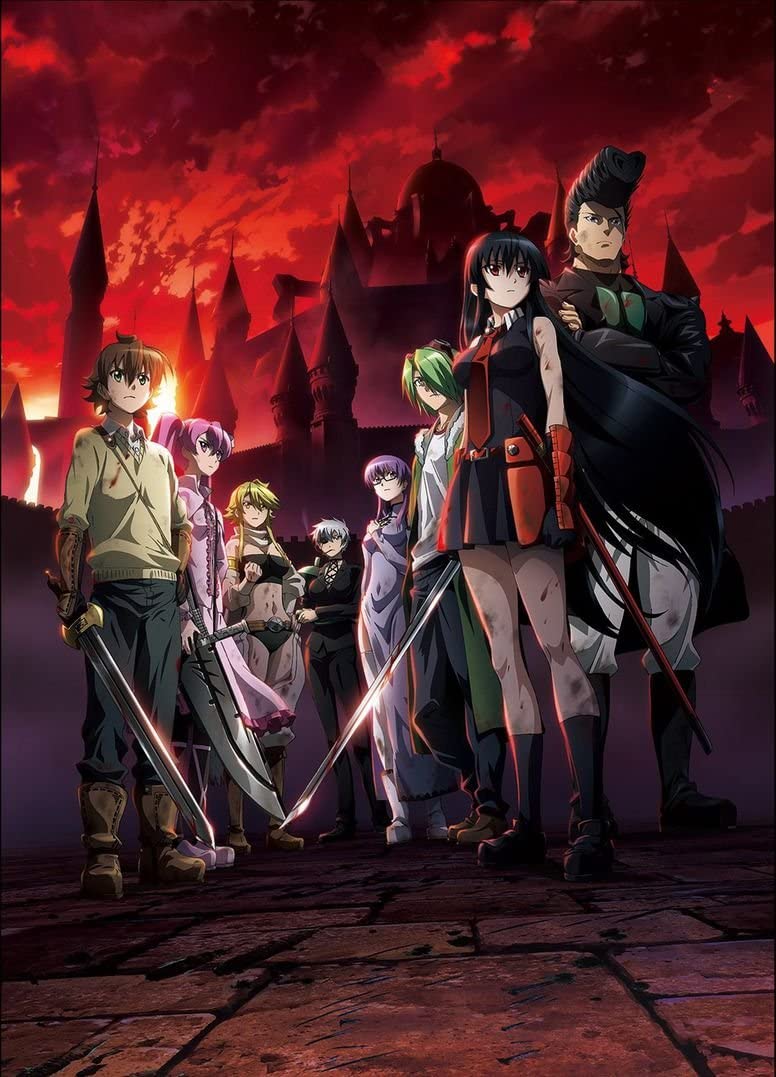 776x1077 Wall Station Akame Ga Kill Customized 24x33 Inch Silk Print Poster Wallpaper Great Gift: Posters & Prints