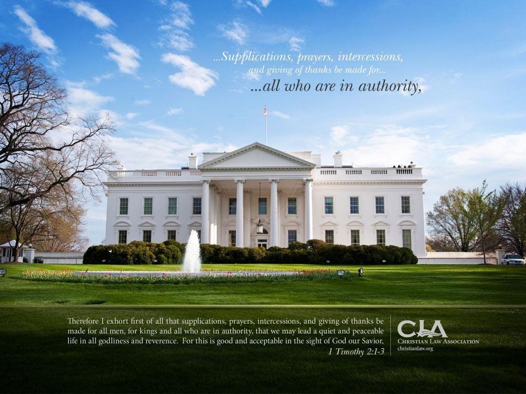 1024x768 White House Down Wallpaper. Snow White Wallpaper, White Wallpaper and Pink White Wallpaper