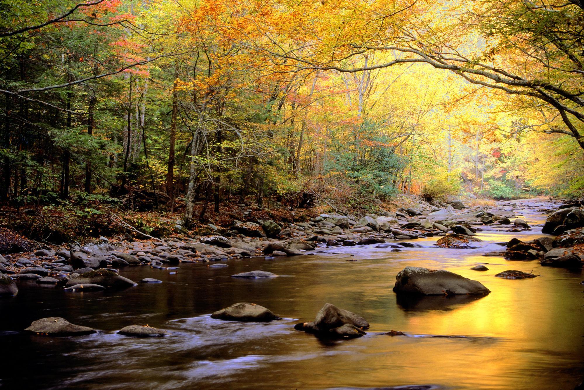 1999x1333 Great Smoky Mountains National Park Wallpaper