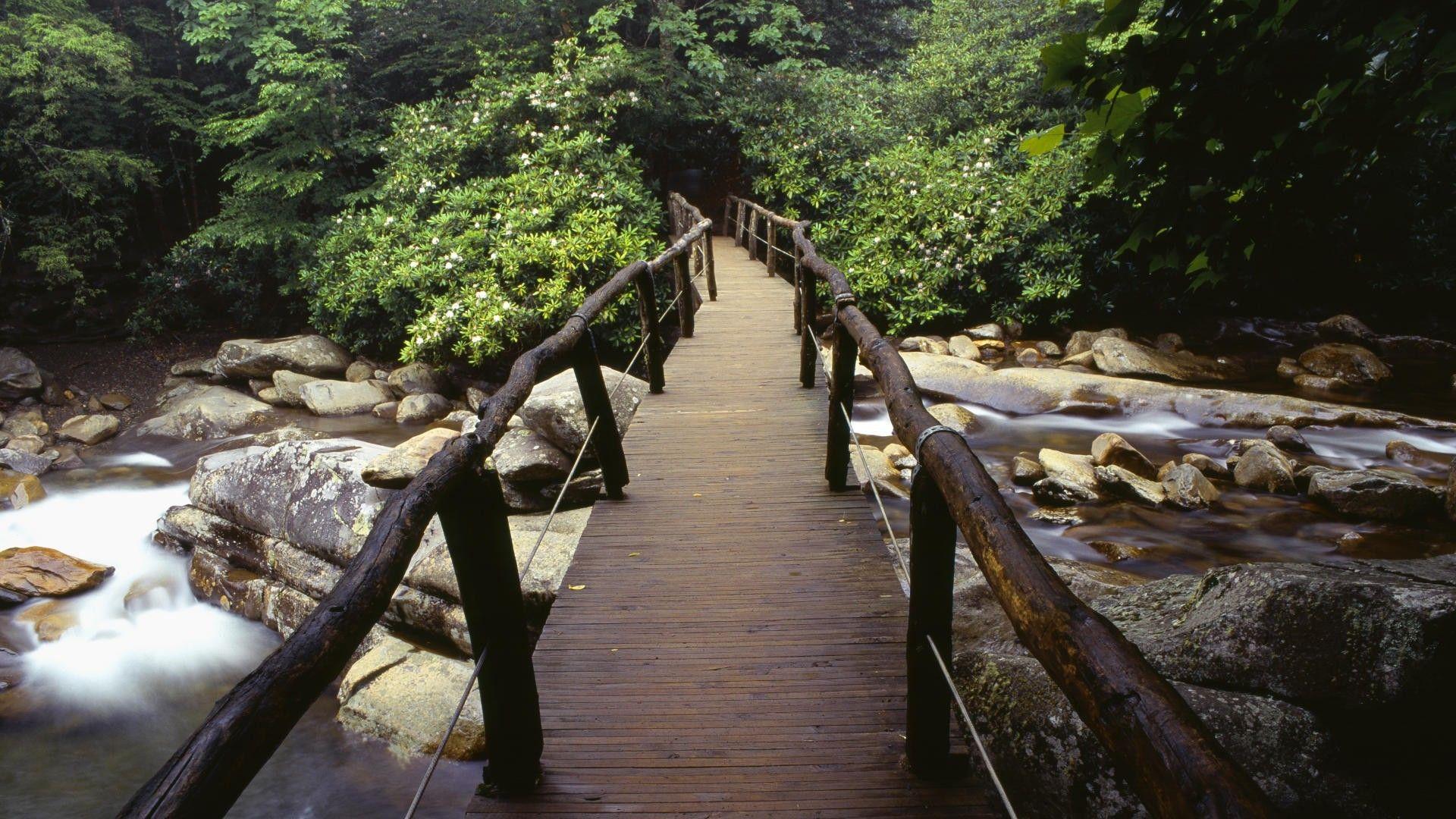 1920x1080 Great Smoky Mountains National Park Wallpaper