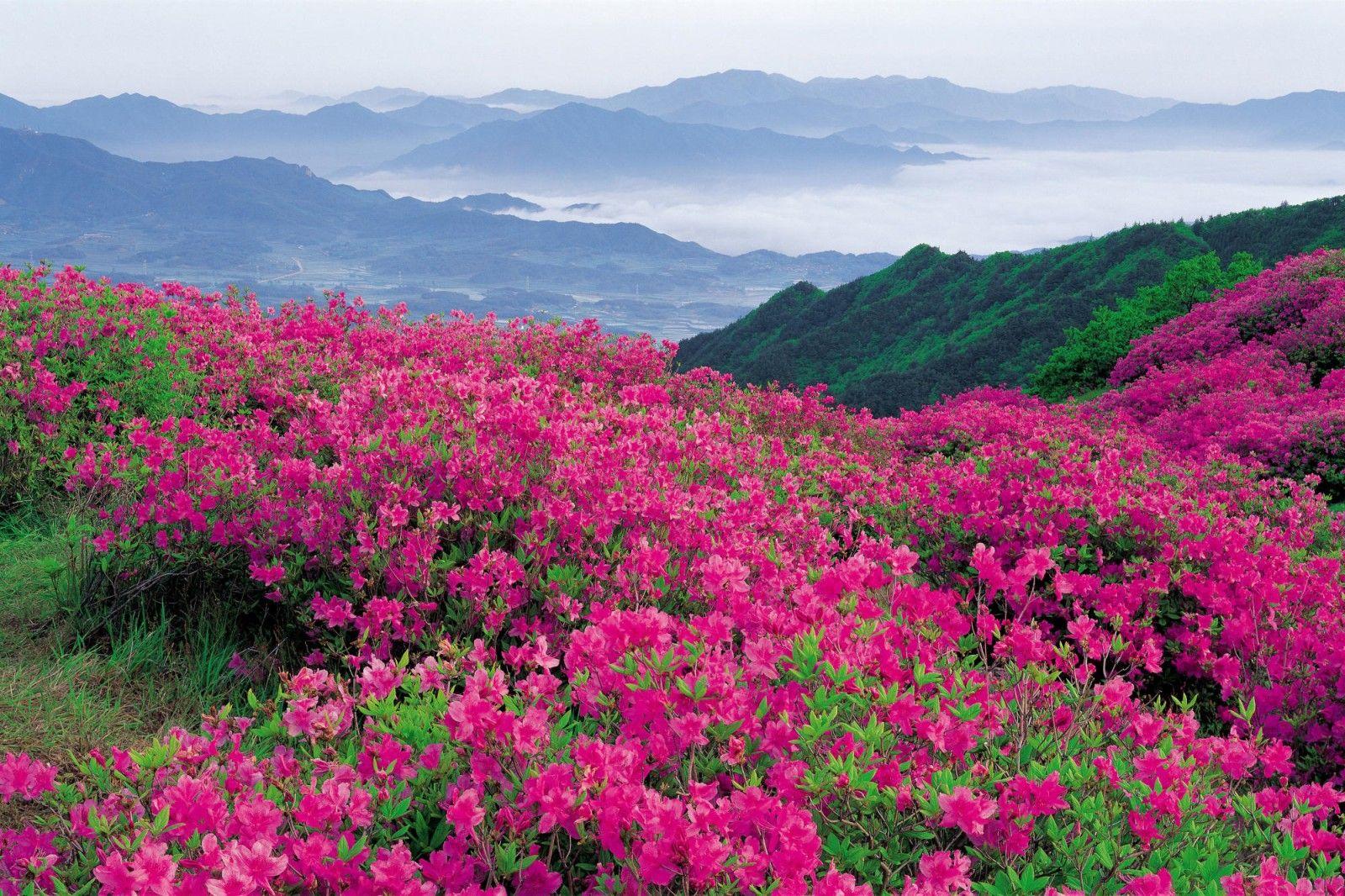 1600x1066 Free Blue Ridge Mountain Wallpaper