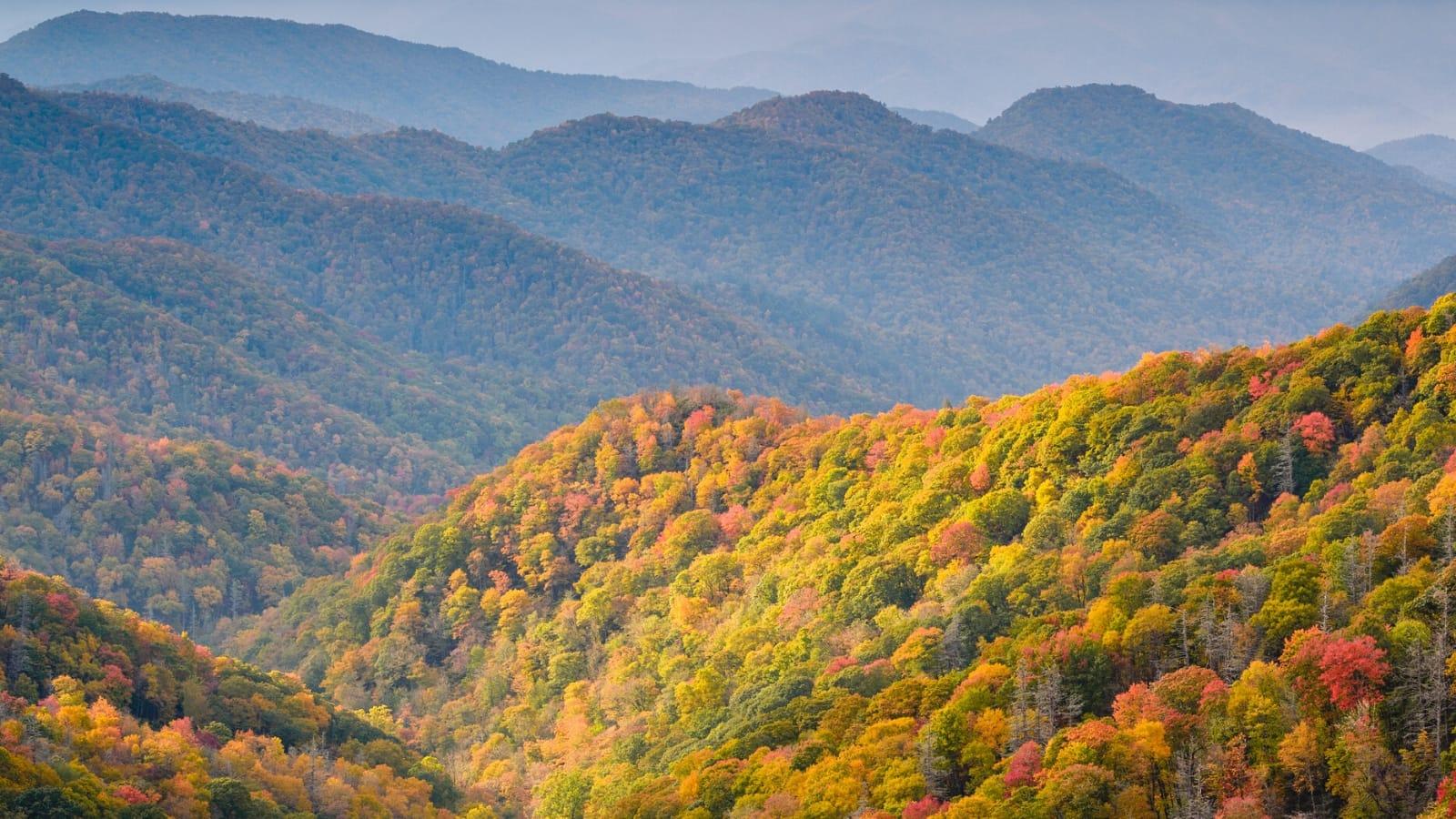 1600x900 Best Things To Do in Great Smoky Mountains National Park