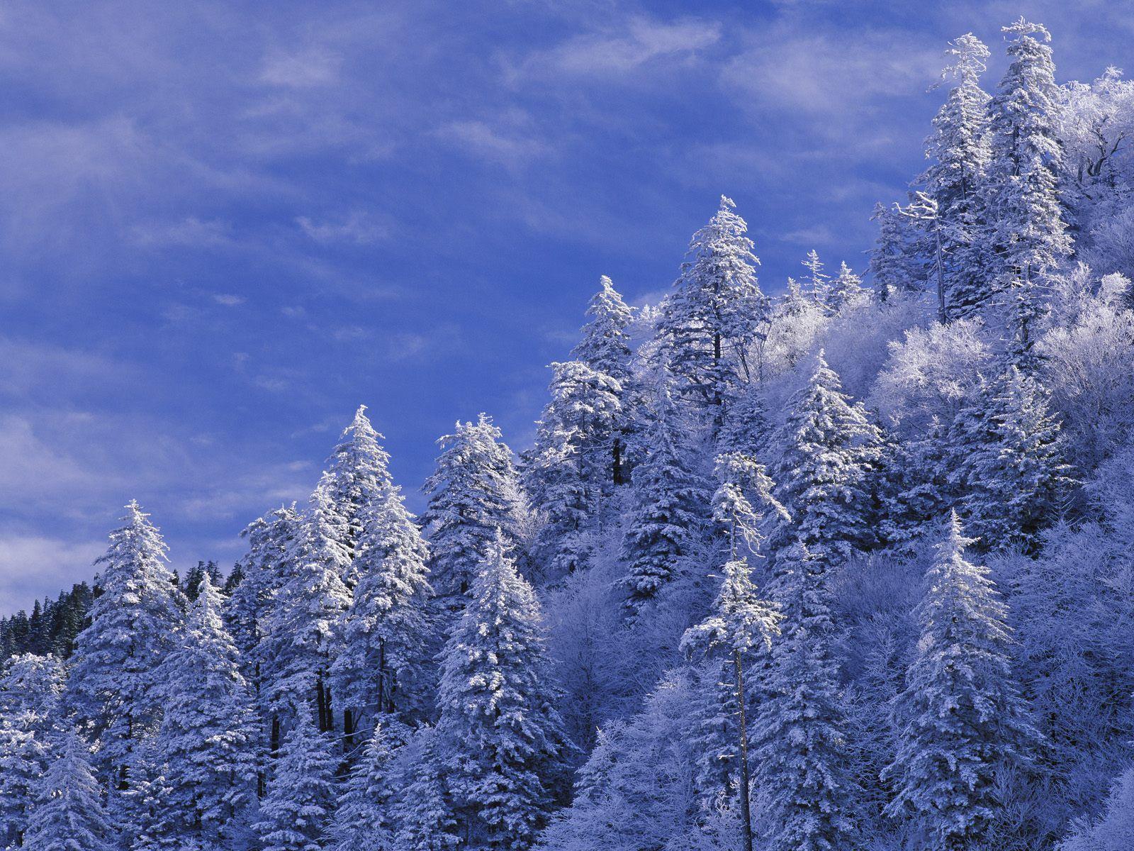 1600x1200 Berg. Smoky mountain national park, Great smoky mountains national park, Great smoky mountains