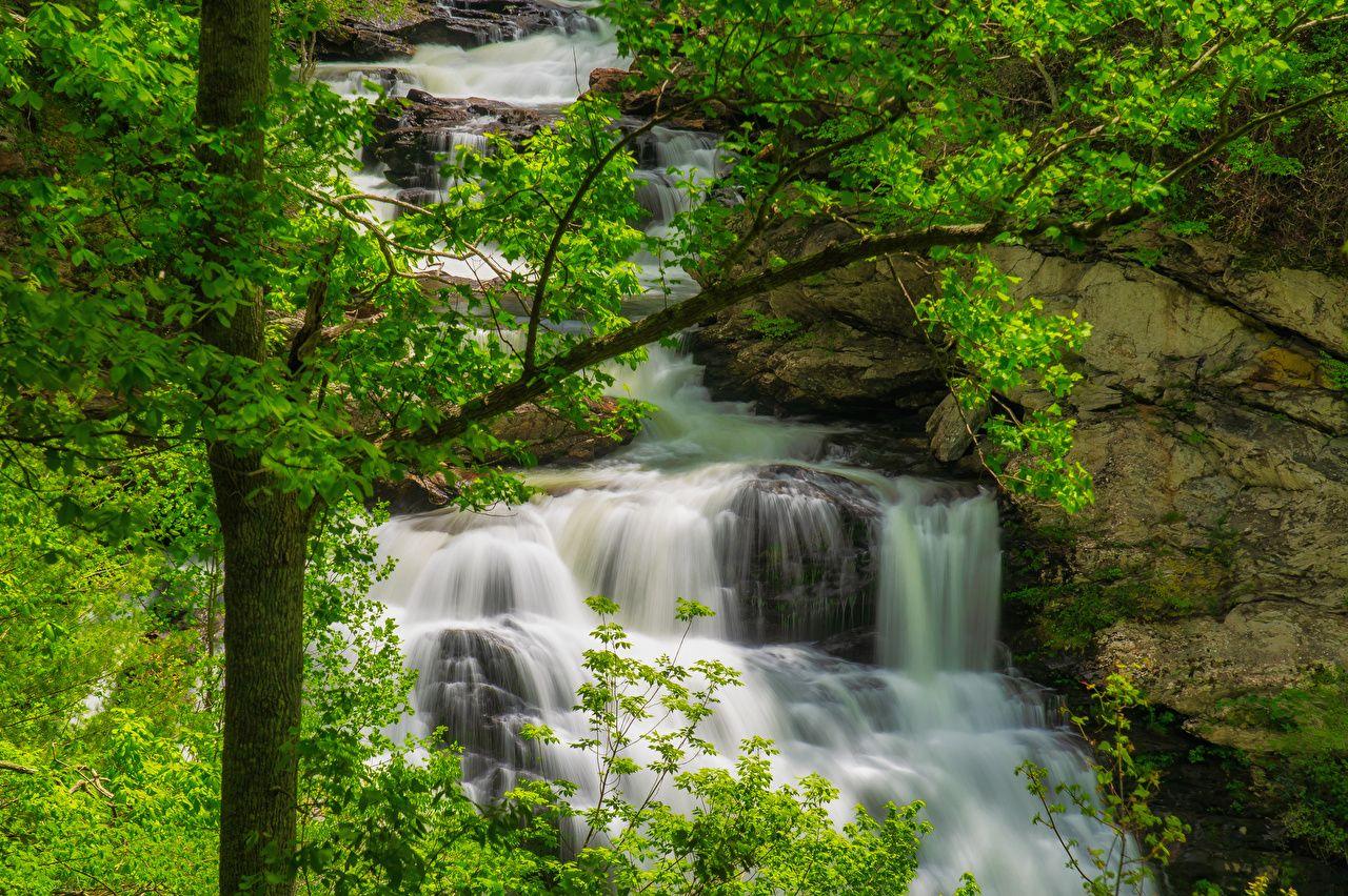 1280x852 Photos USA Great Smoky Mountains National Park Nature Waterfalls