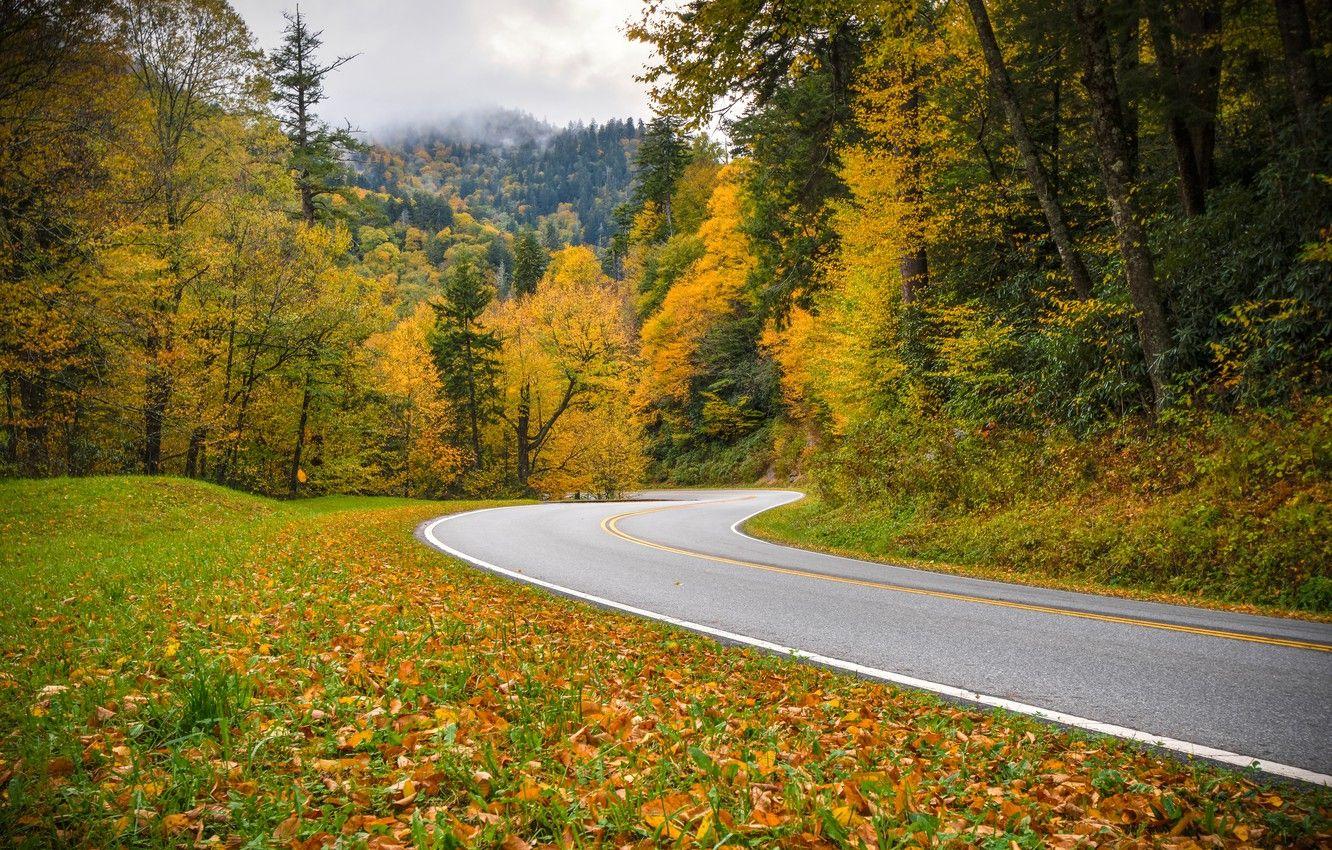 1332x850 Wallpaper road, autumn, forest, Tennessee, Tn, Great Smoky Mountains National Park, National Park great smoky mountains image for desktop, section праздники