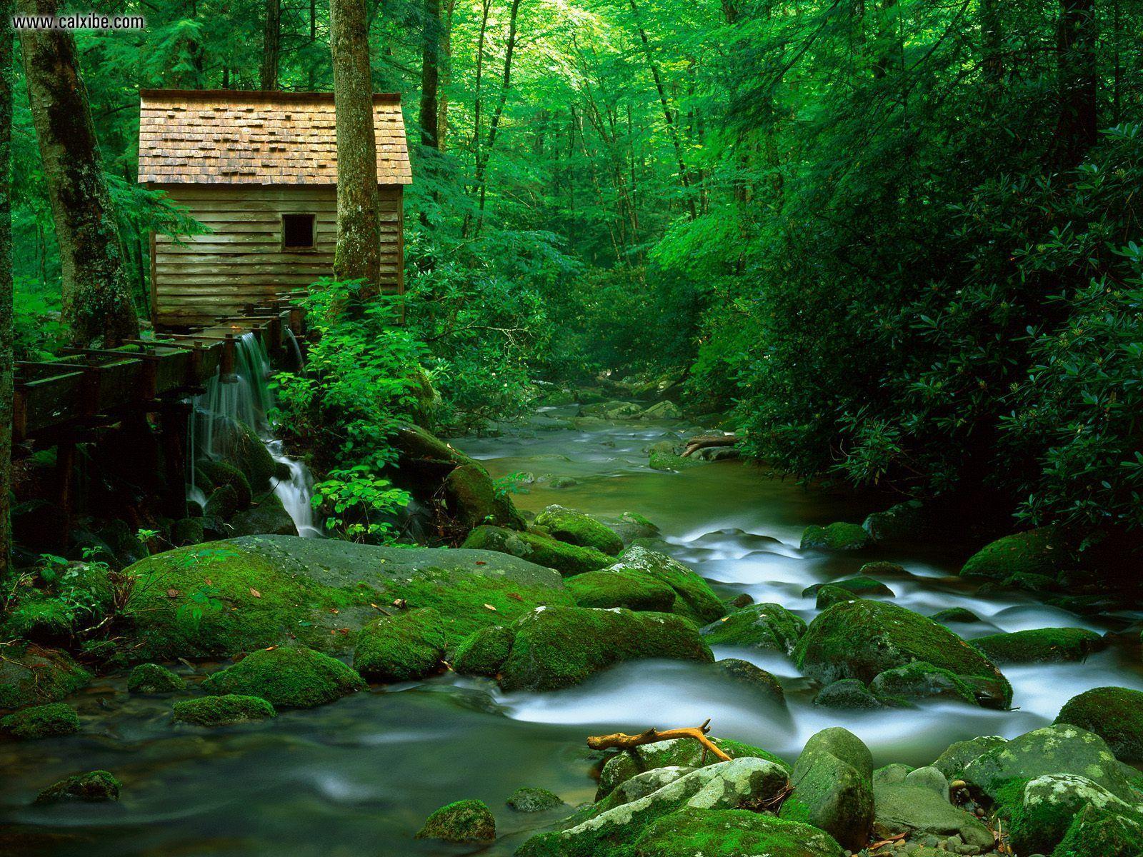 1600x1200 Nature: Reagan Mill Roaring Fork Great Smoky Mountains National Park Tennessee