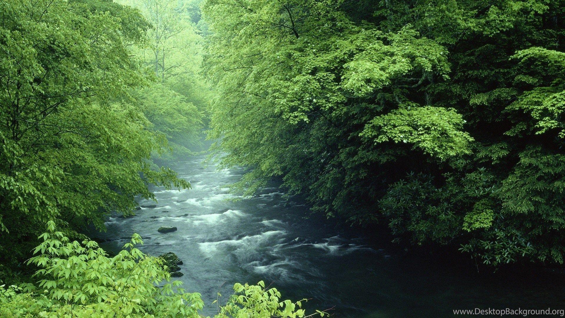 1920x1080 Tennessee Rivers National Park Great Smoky Mountains Wallpaper. Desktop Background