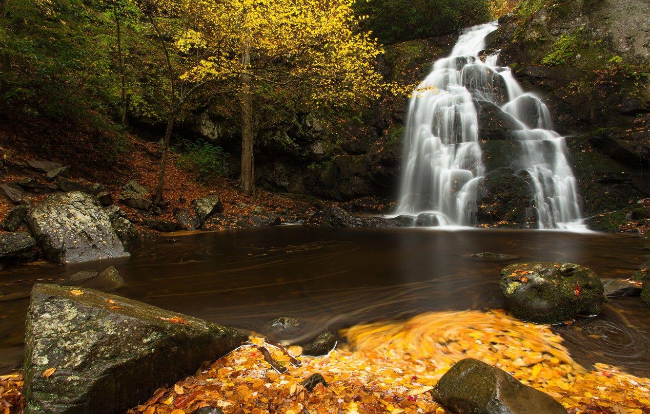 1332x850 Wallpaper autumn, leaves, river, stones, waterfall, cascade, Tennessee, Tn, Great Smoky Mountains National Park, Spruce Flats Falls image for desktop, section пейзажи