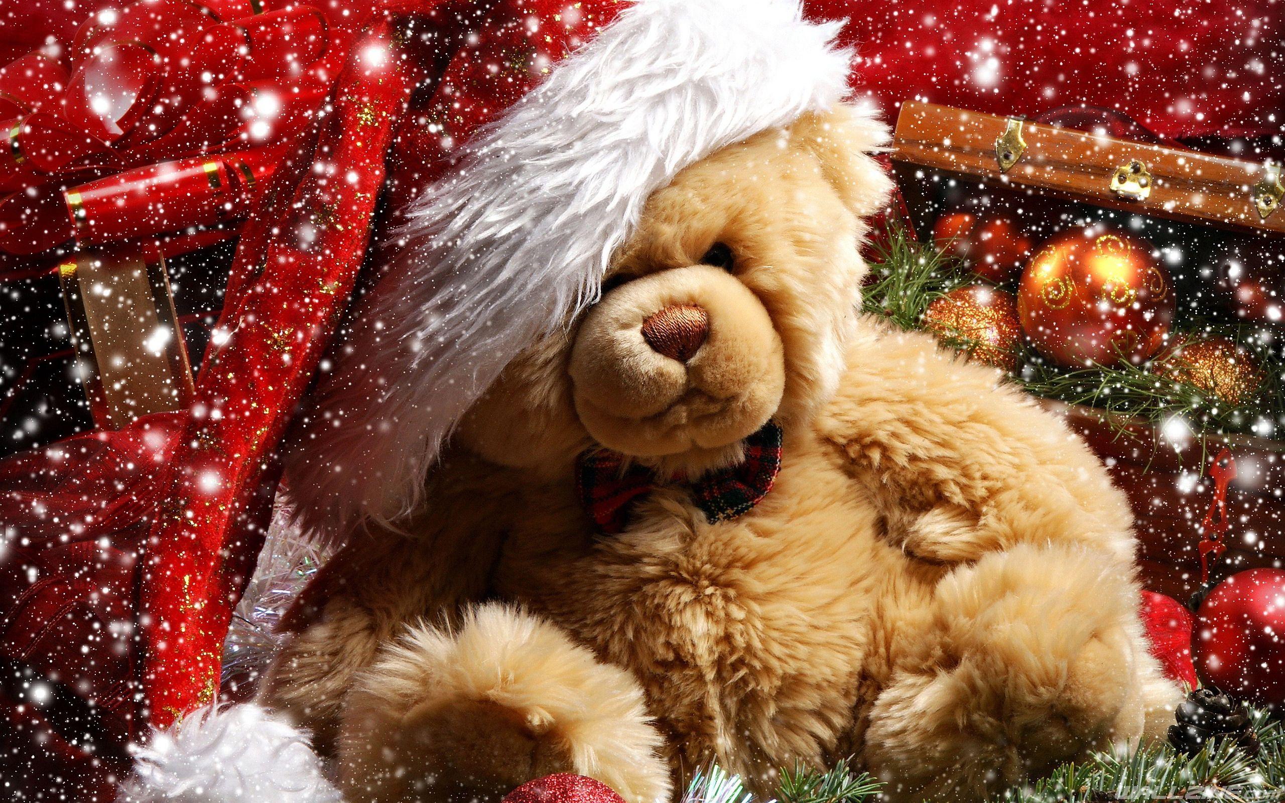 2560x1600 xmas teddy bear HD Desktop Wallpaper. Wallzine.com. Teddy bear wallpaper, Christmas teddy bear, Teddy bear day