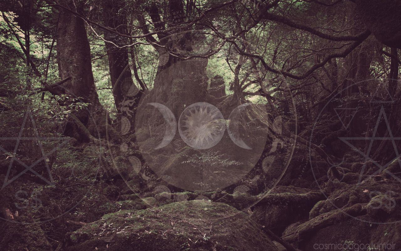 1280x800 Desktop Background Witch Forest .