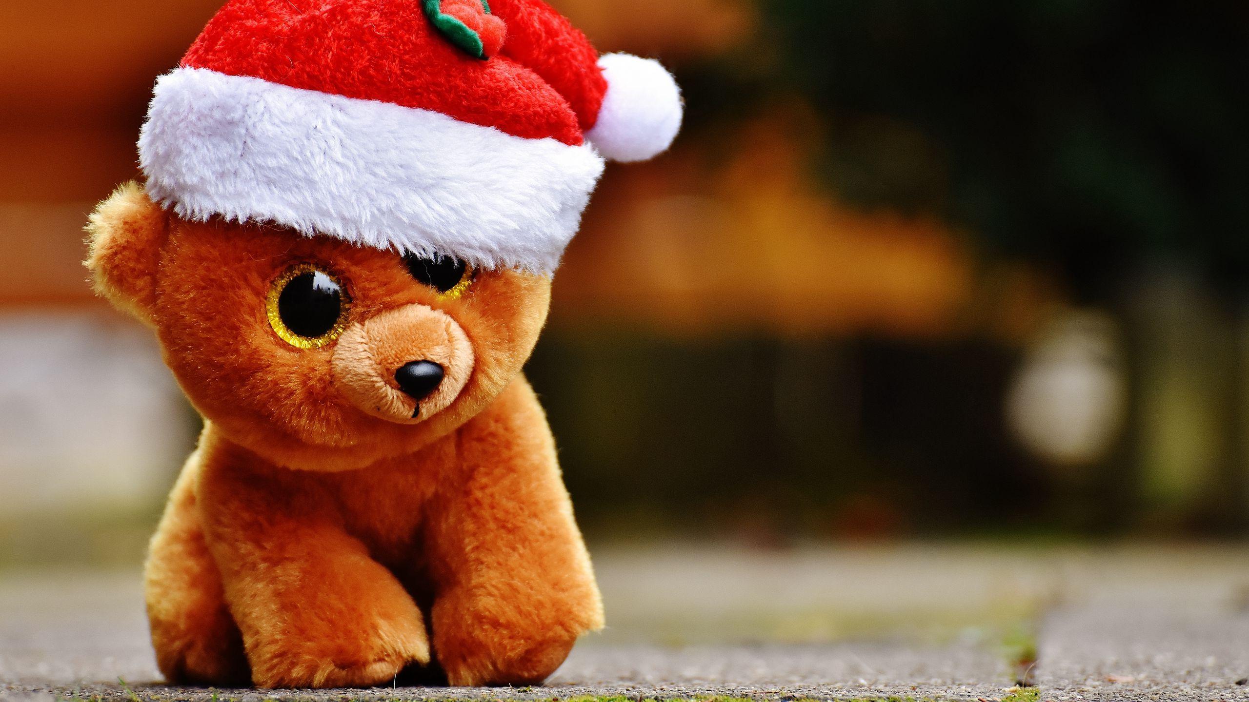 2560x1440 Download wallpaper 2560x1440 toy, teddy bear, christmas widescreen 16:9 HD background
