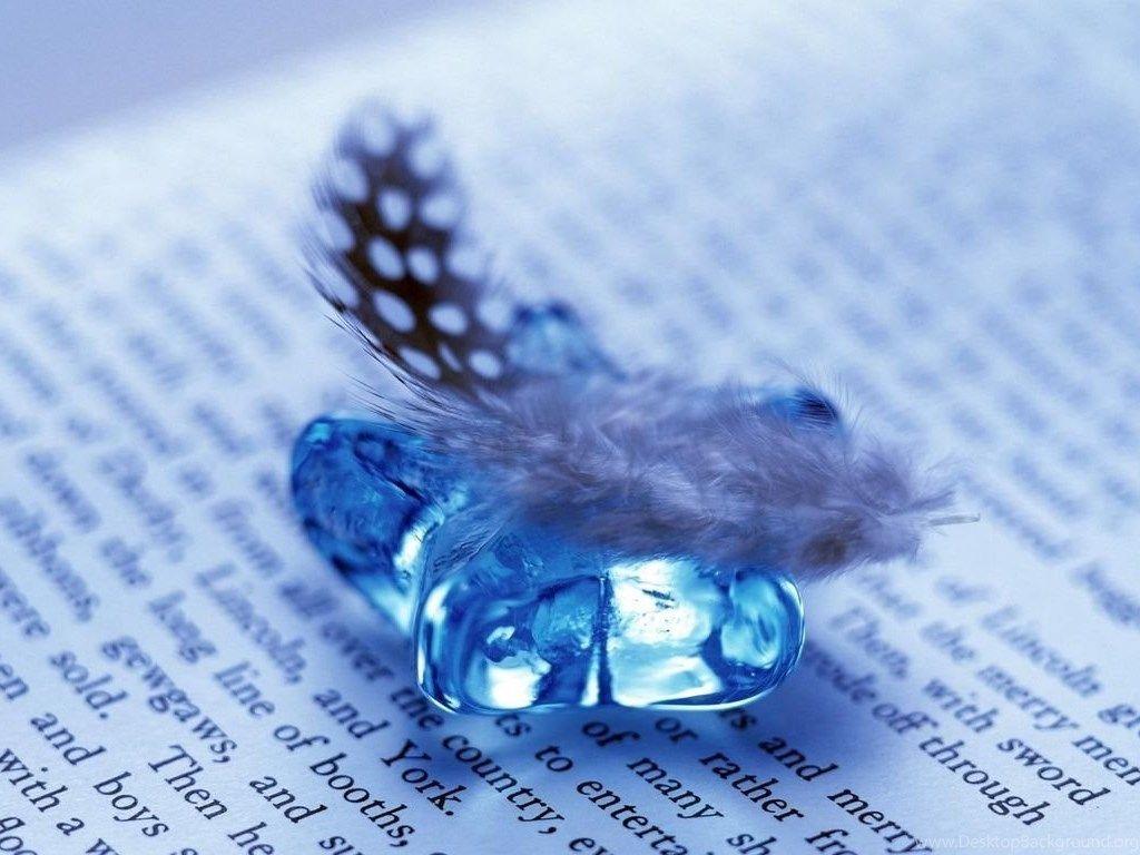 1024x768 Feather And Gem On Open Book Widescreen Wallpaper Desktop Background