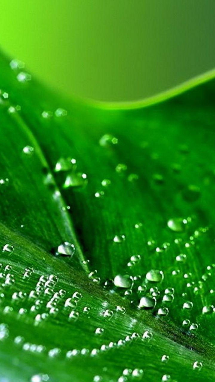 720x1280 Gionee F103 Wallpaper: Dancing Drops Android Wallpaper