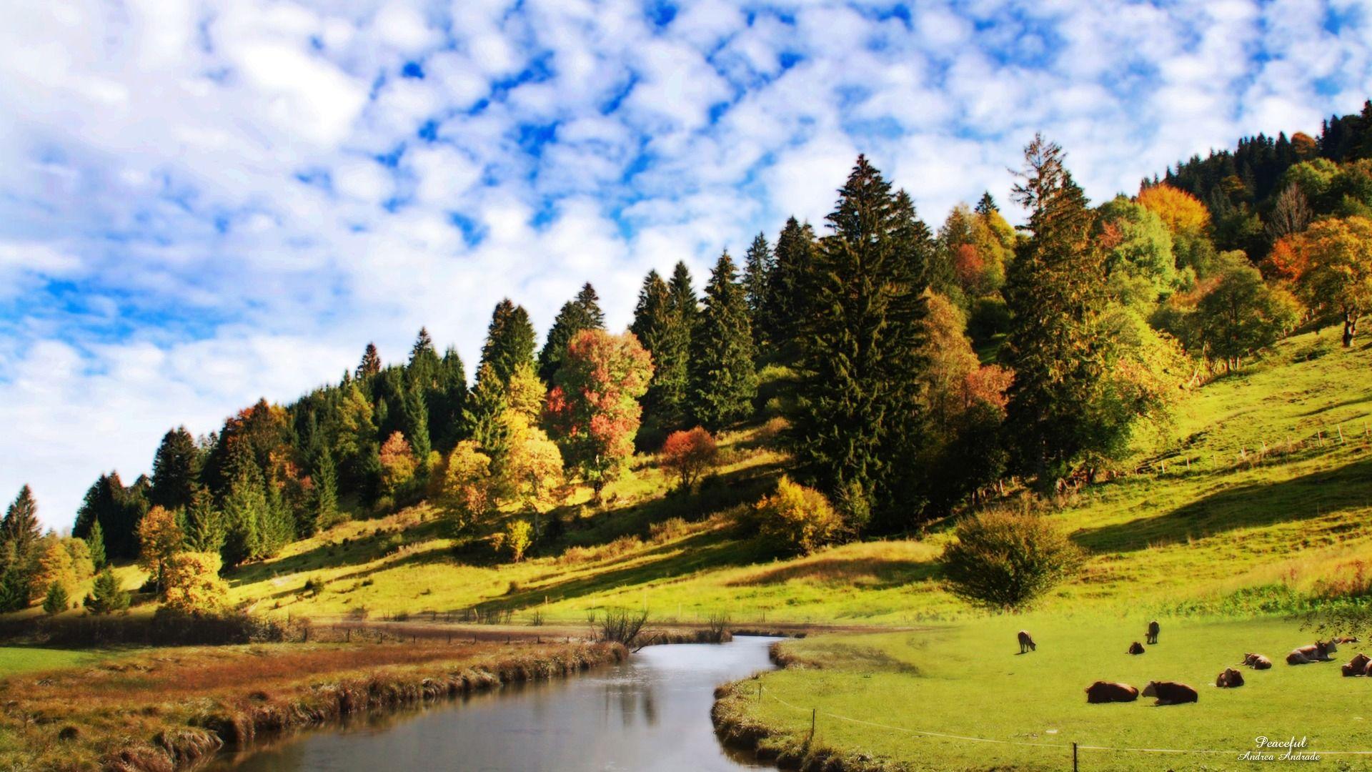 1920x1080 Peaceful Wallpaper Landscape Nature Wallpaper in jpg format for free download
