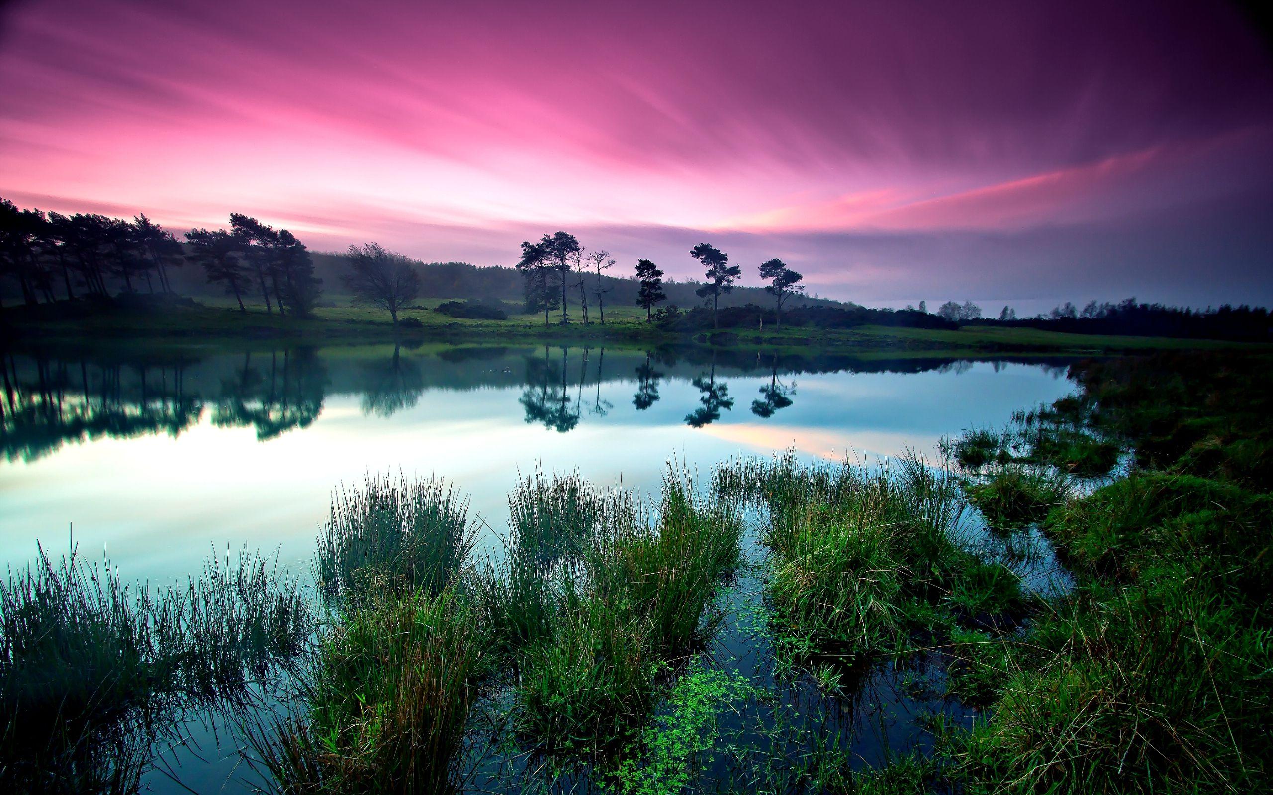 2560x1600 25++ Nature Peaceful Anime Wallpaper