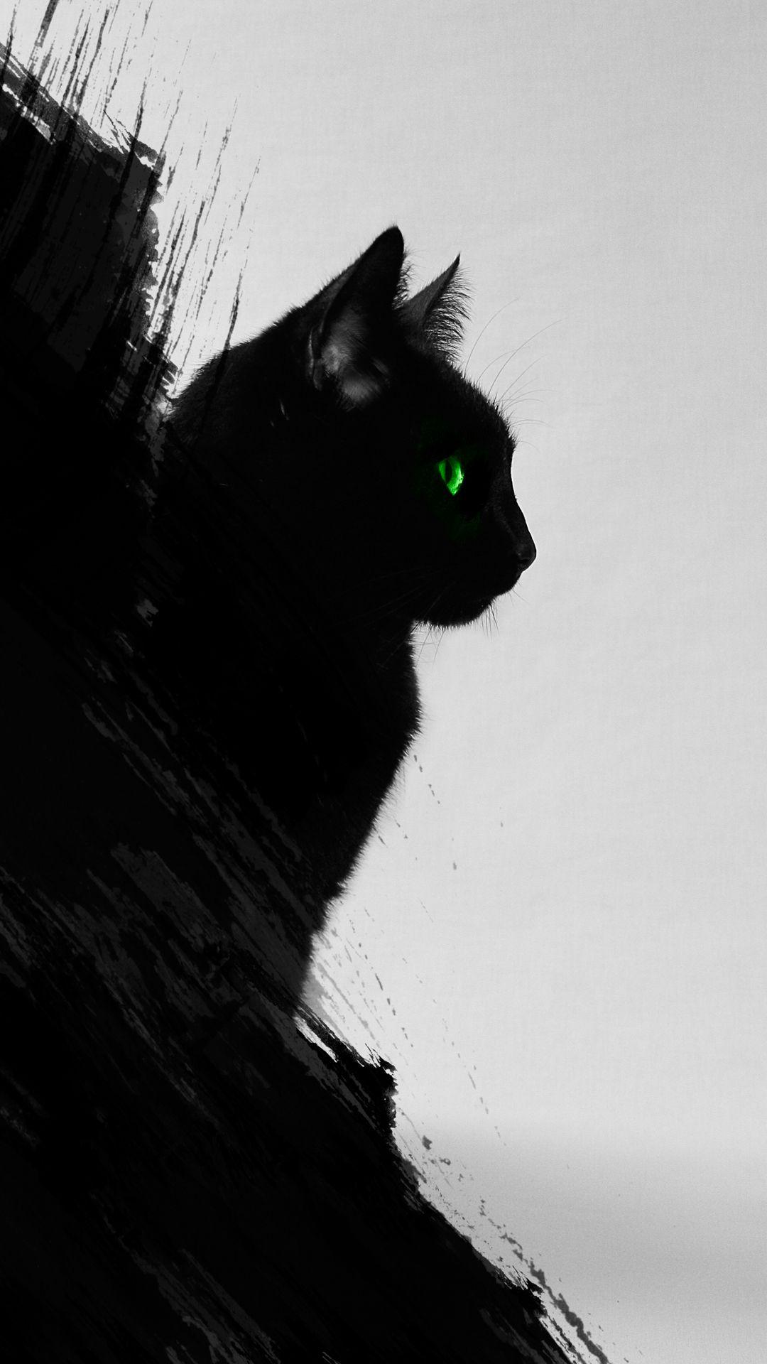 1080x1920 Black Cat Wallpaper Cat Wallpaper iPhone