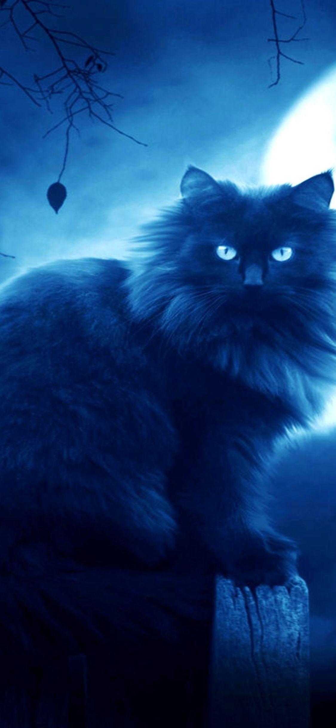 1125x2436 Black Cat Moon Wallpaper