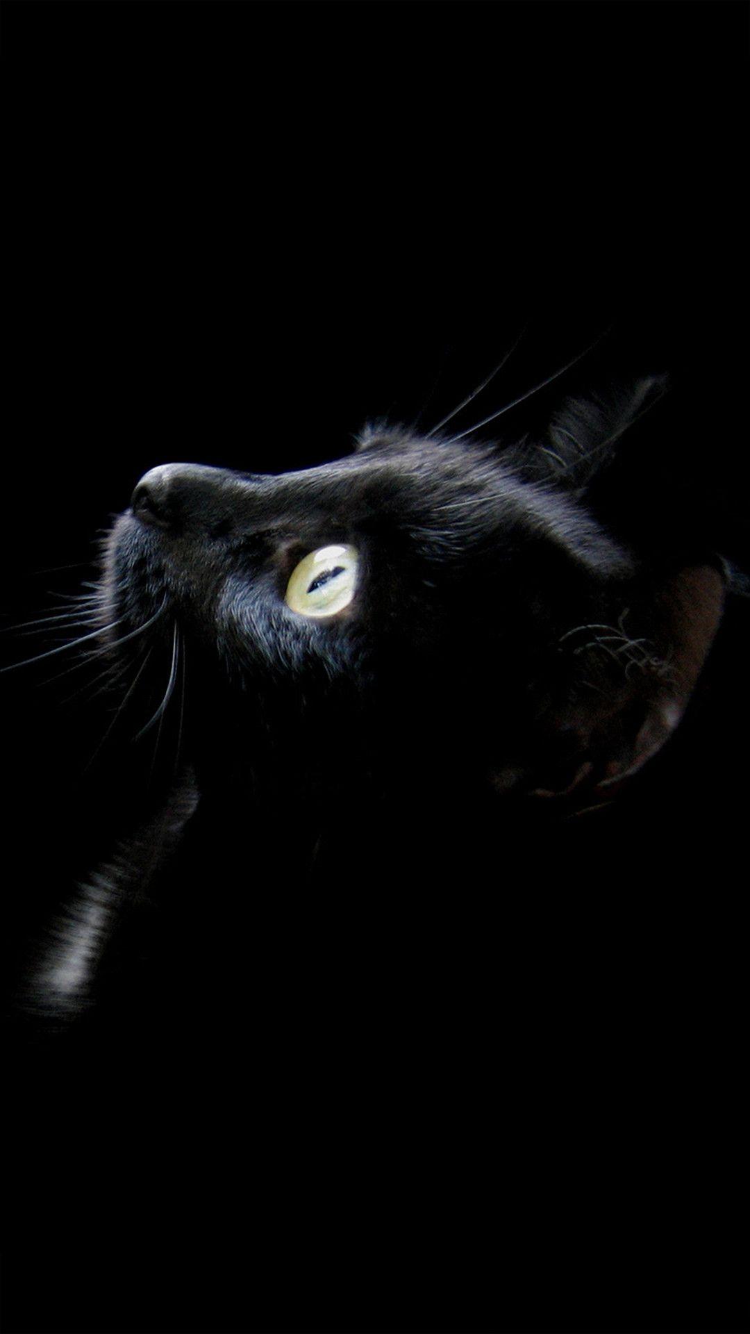 1080x1920 Black Cat For Mobile Wallpaper