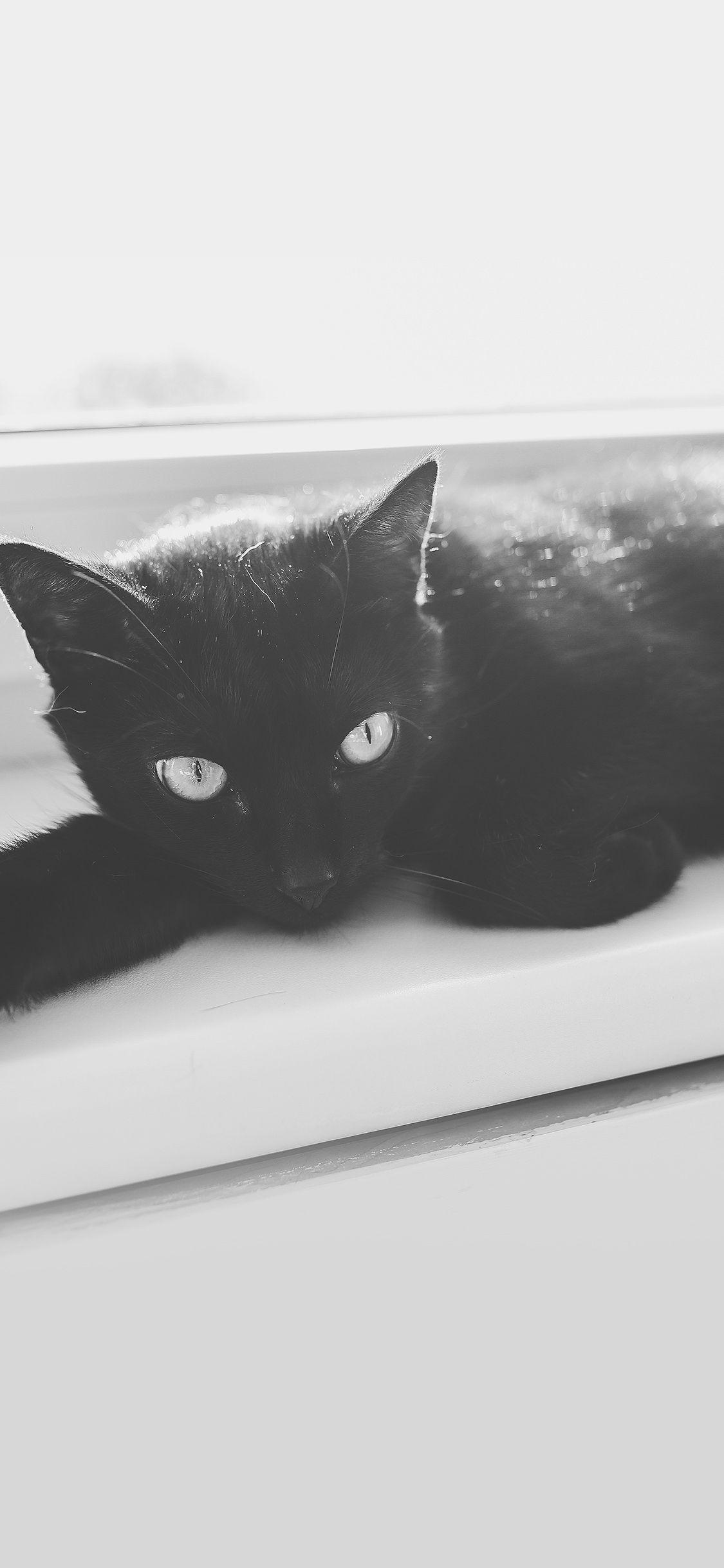 1125x2436 iPhone Wallpaper Black Cat